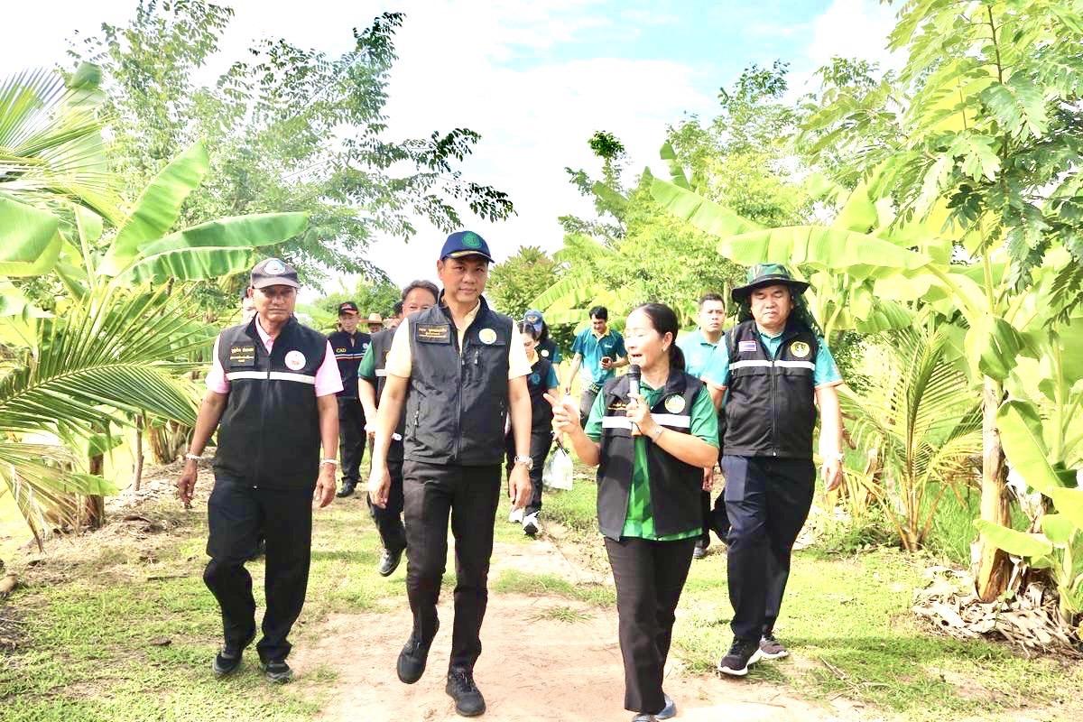 ภาพประกอบที่ 5