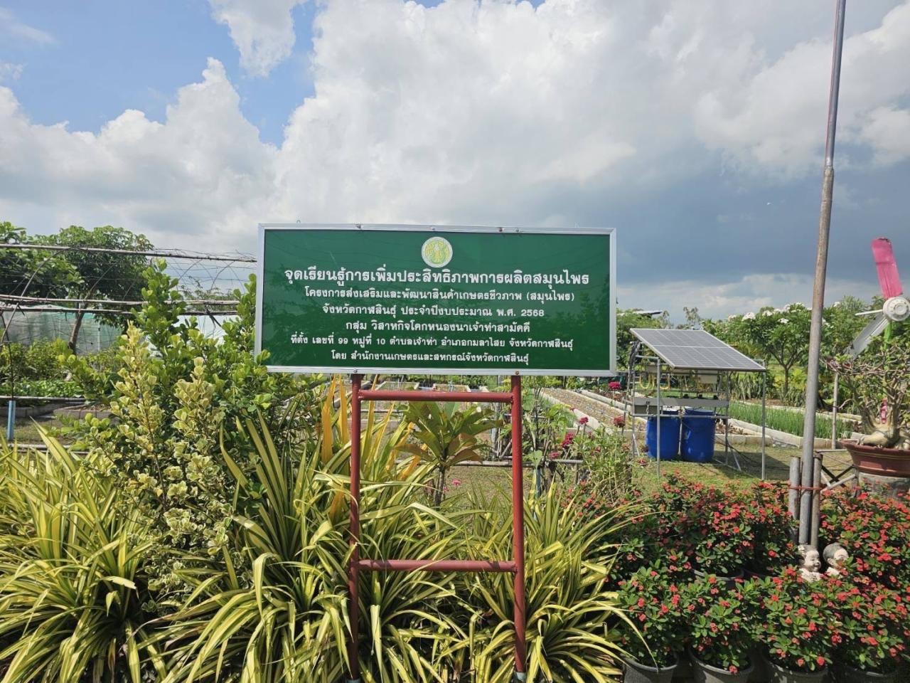 ภาพประกอบที่ 17