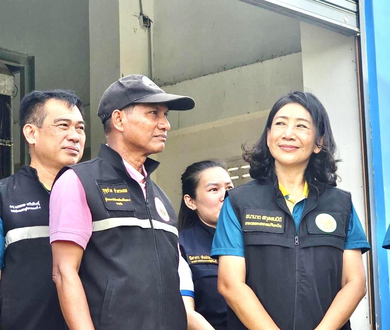 ภาพประกอบที่ 24