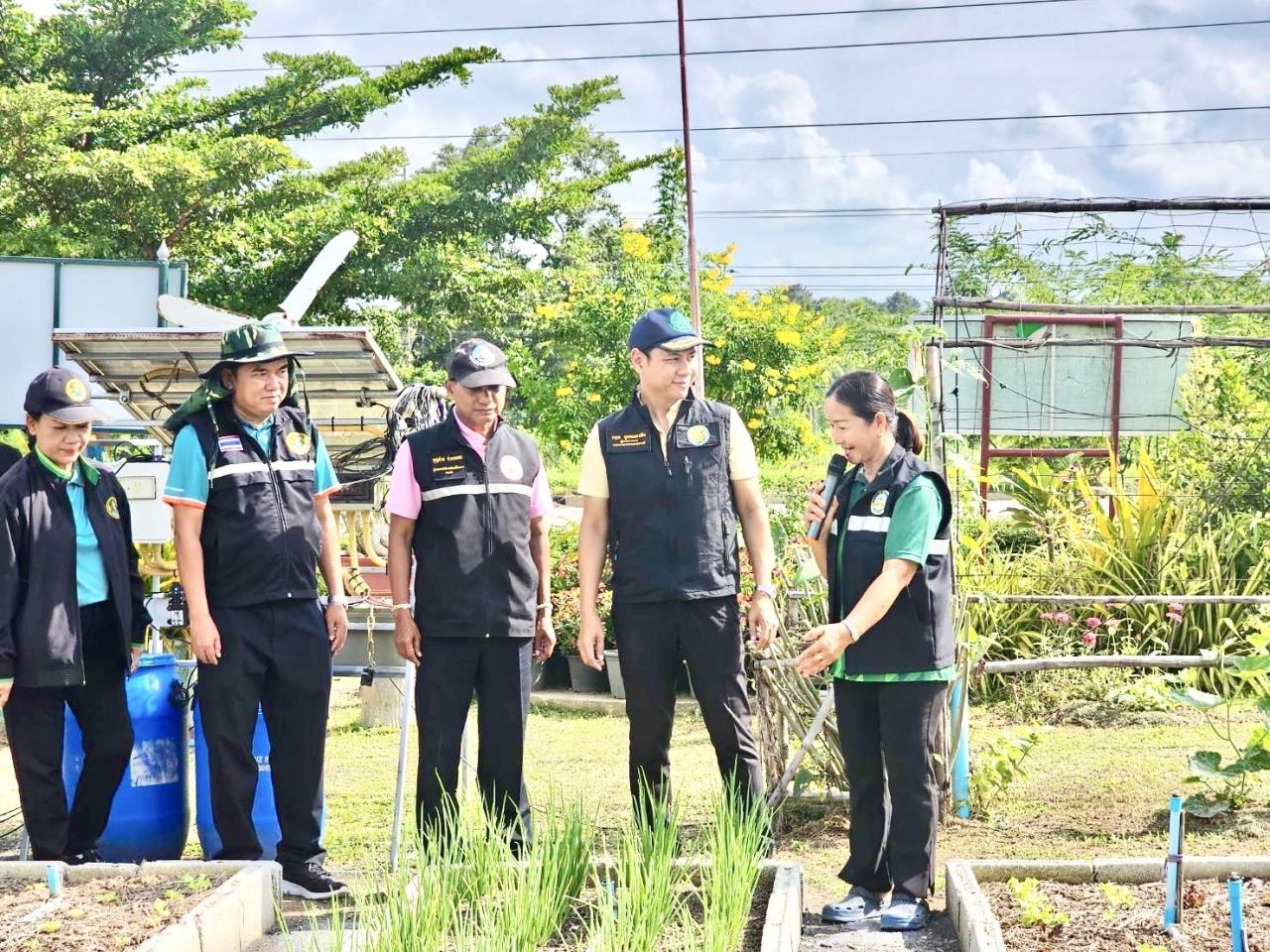 ภาพประกอบที่ 25