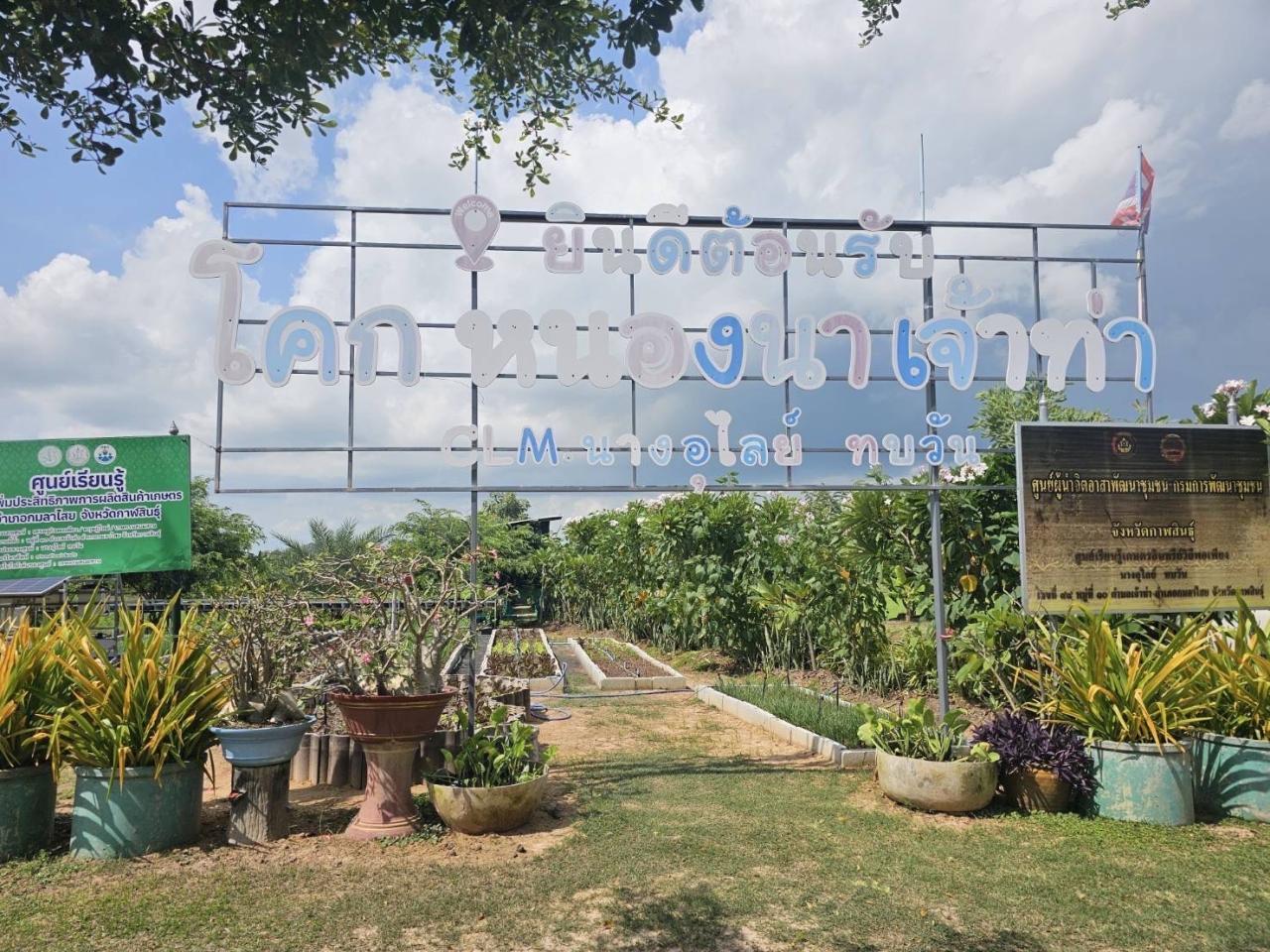 ภาพประกอบที่ 31