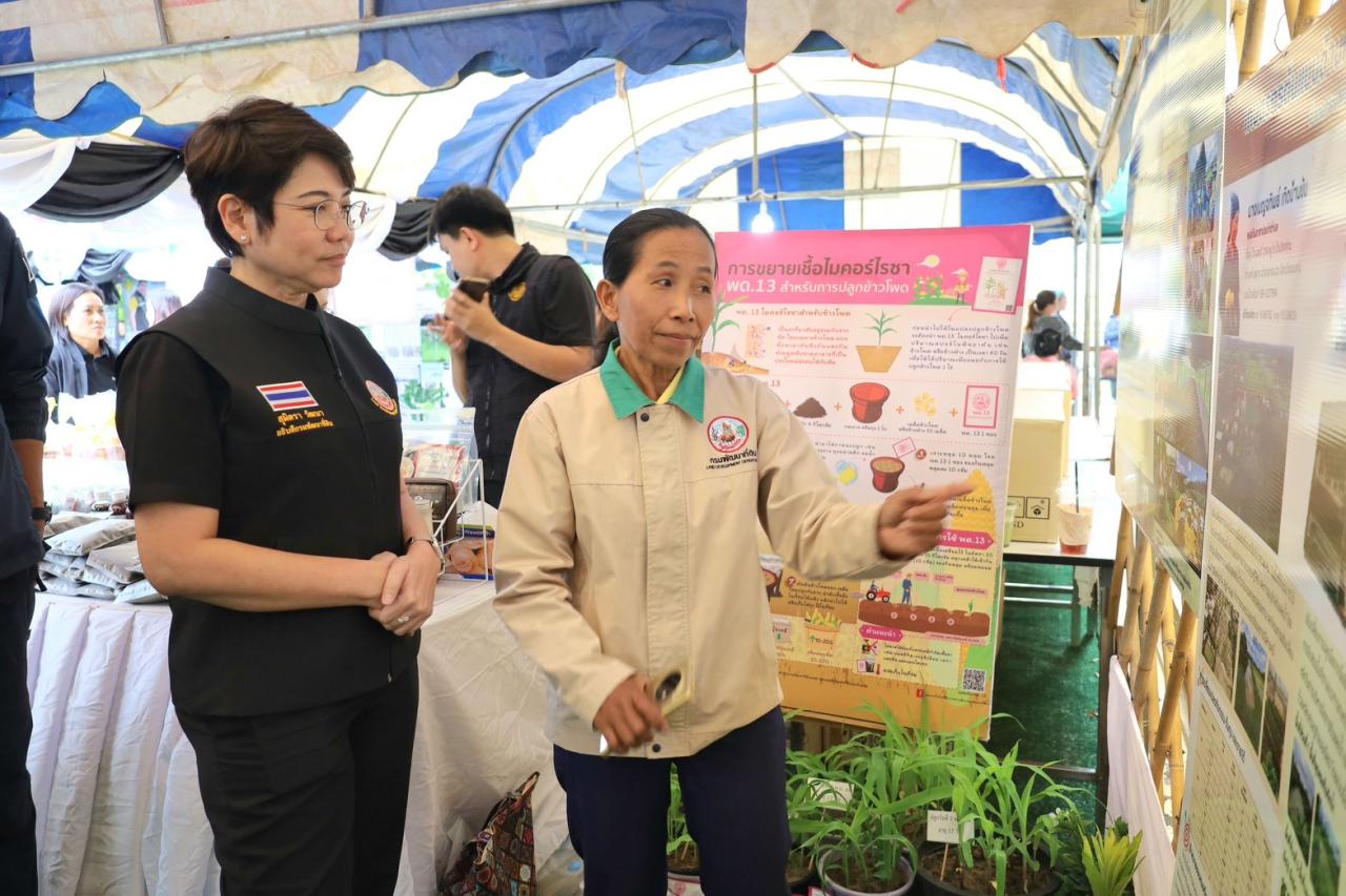 ภาพประกอบที่ 12