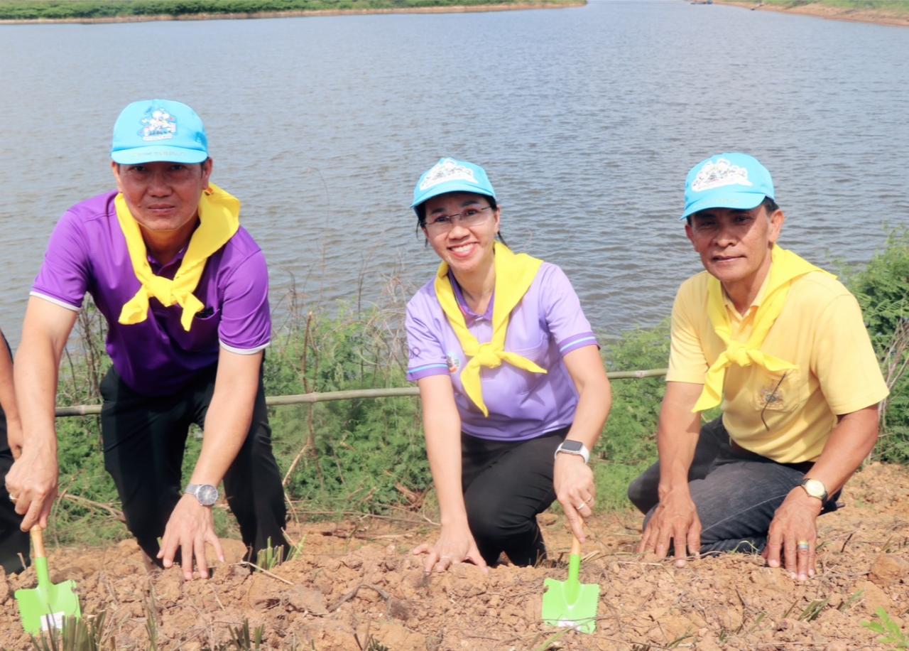 ภาพประกอบที่ 16