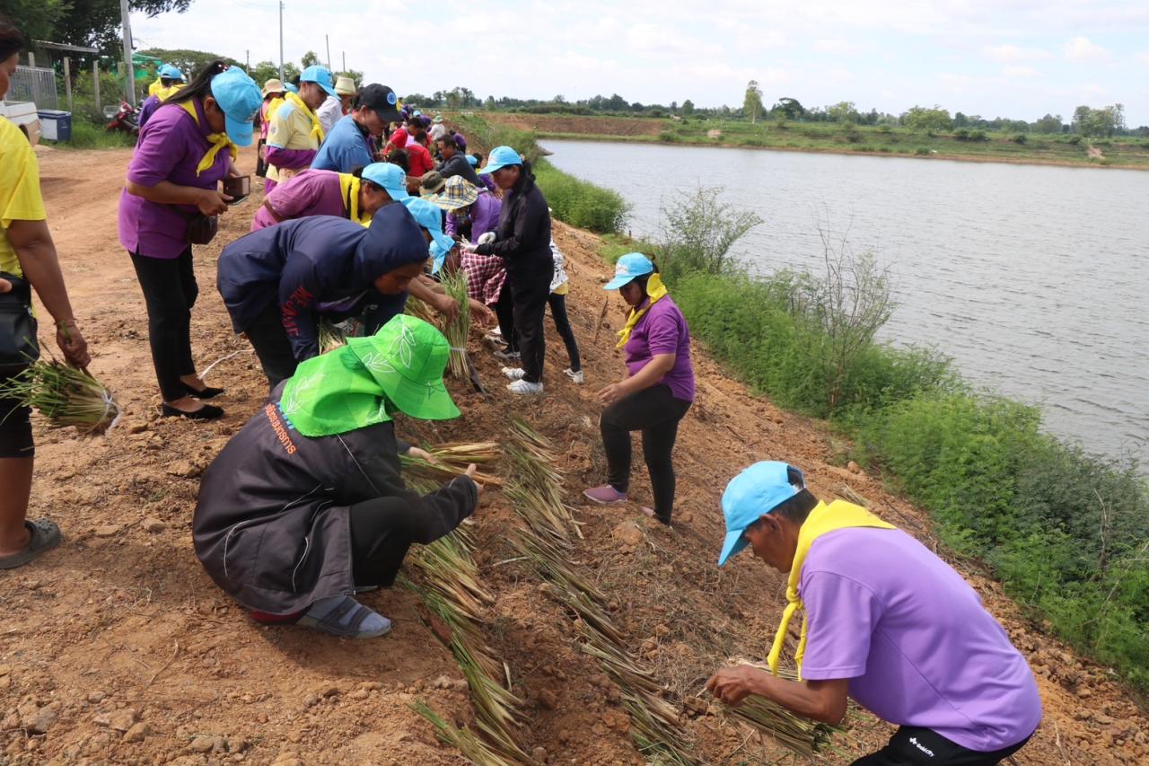 ภาพประกอบที่ 31