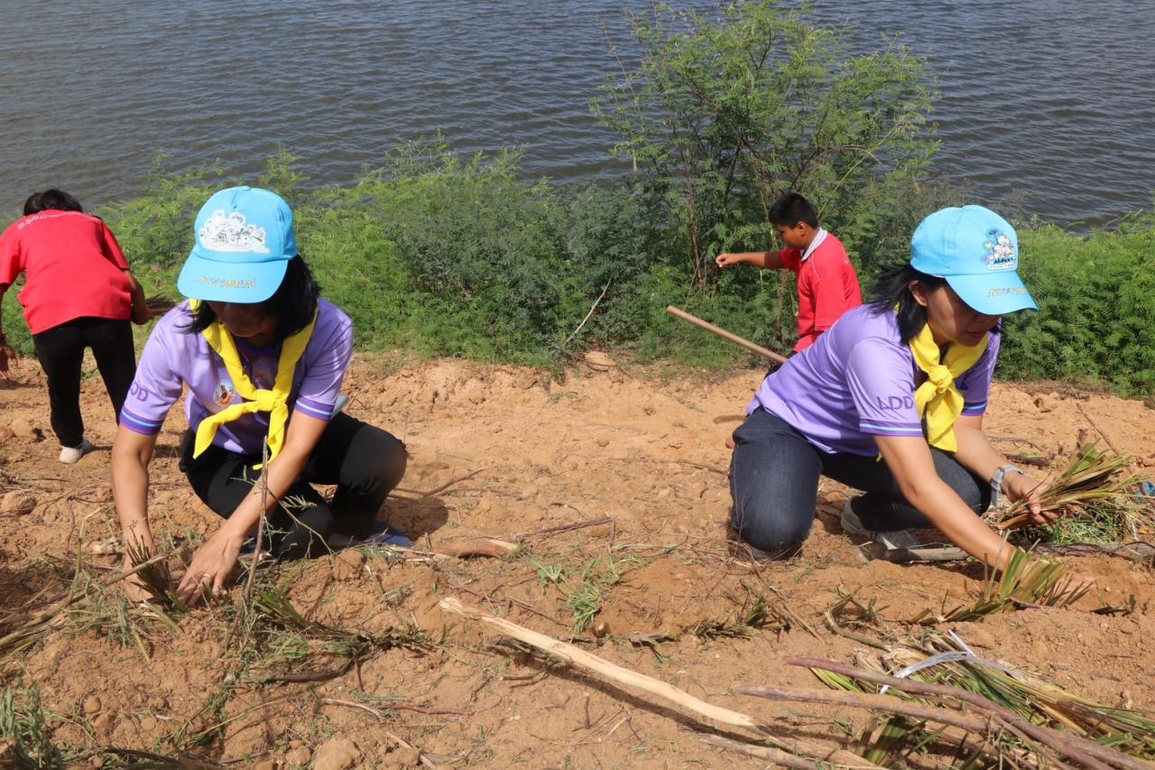 ภาพประกอบที่ 41