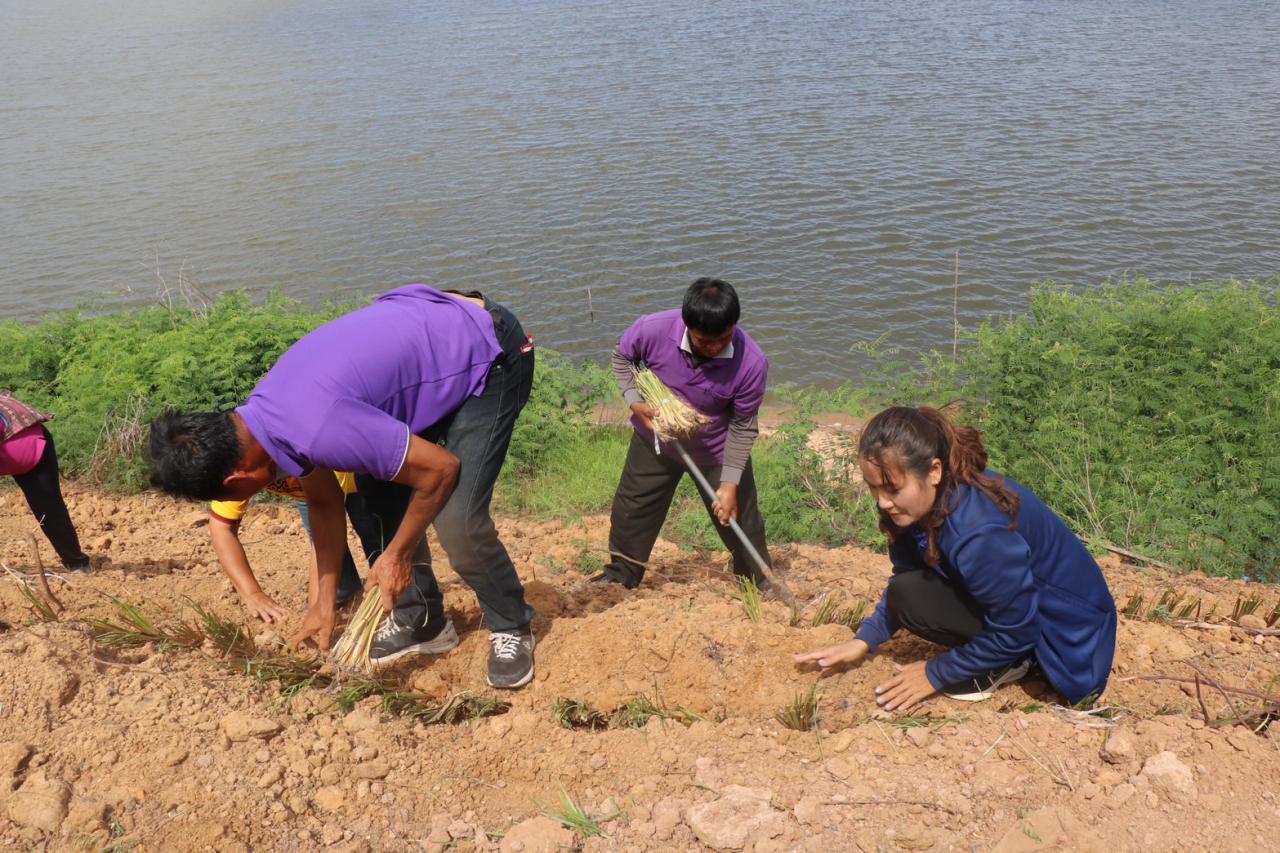 ภาพประกอบที่ 43