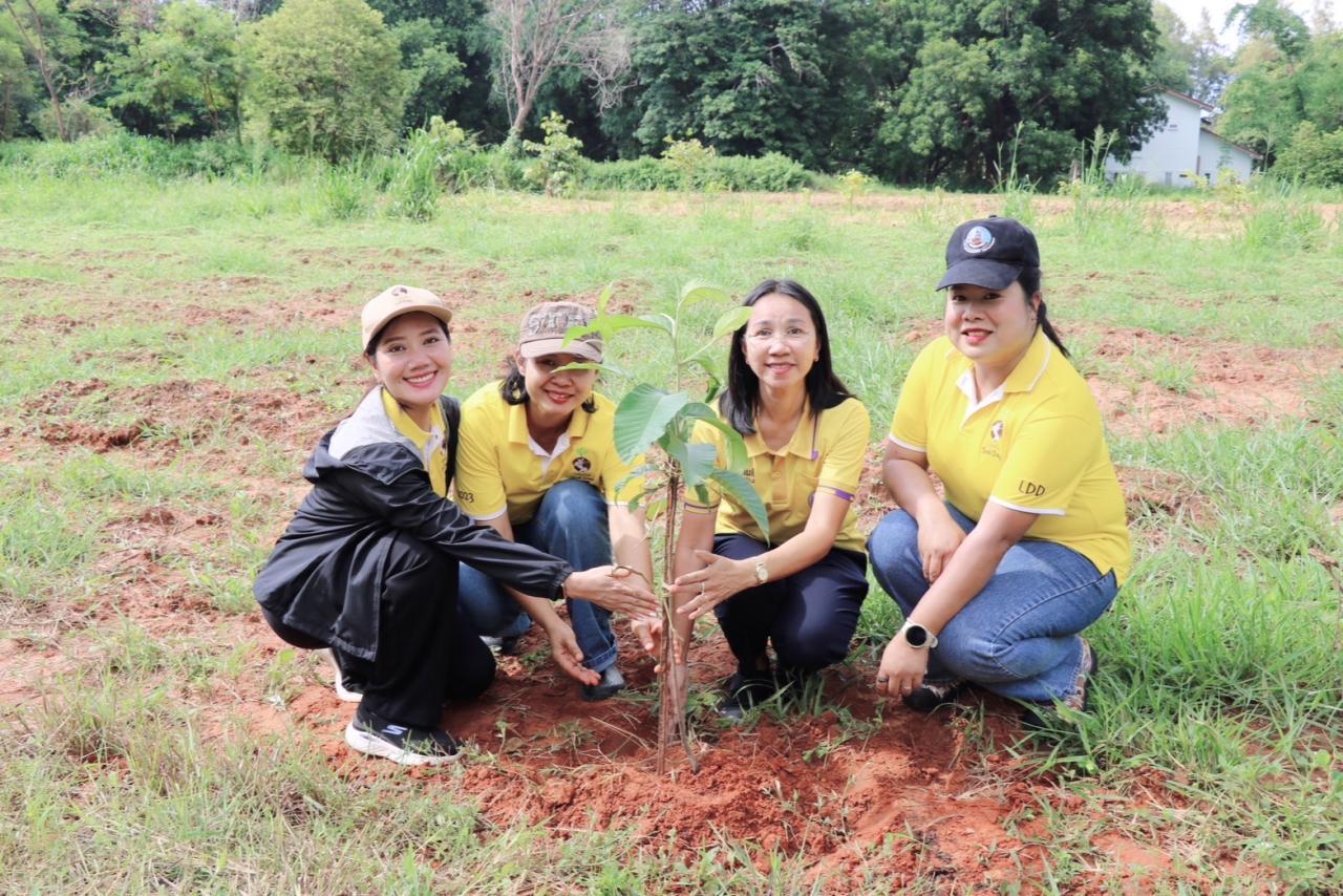 ภาพประกอบที่ 4