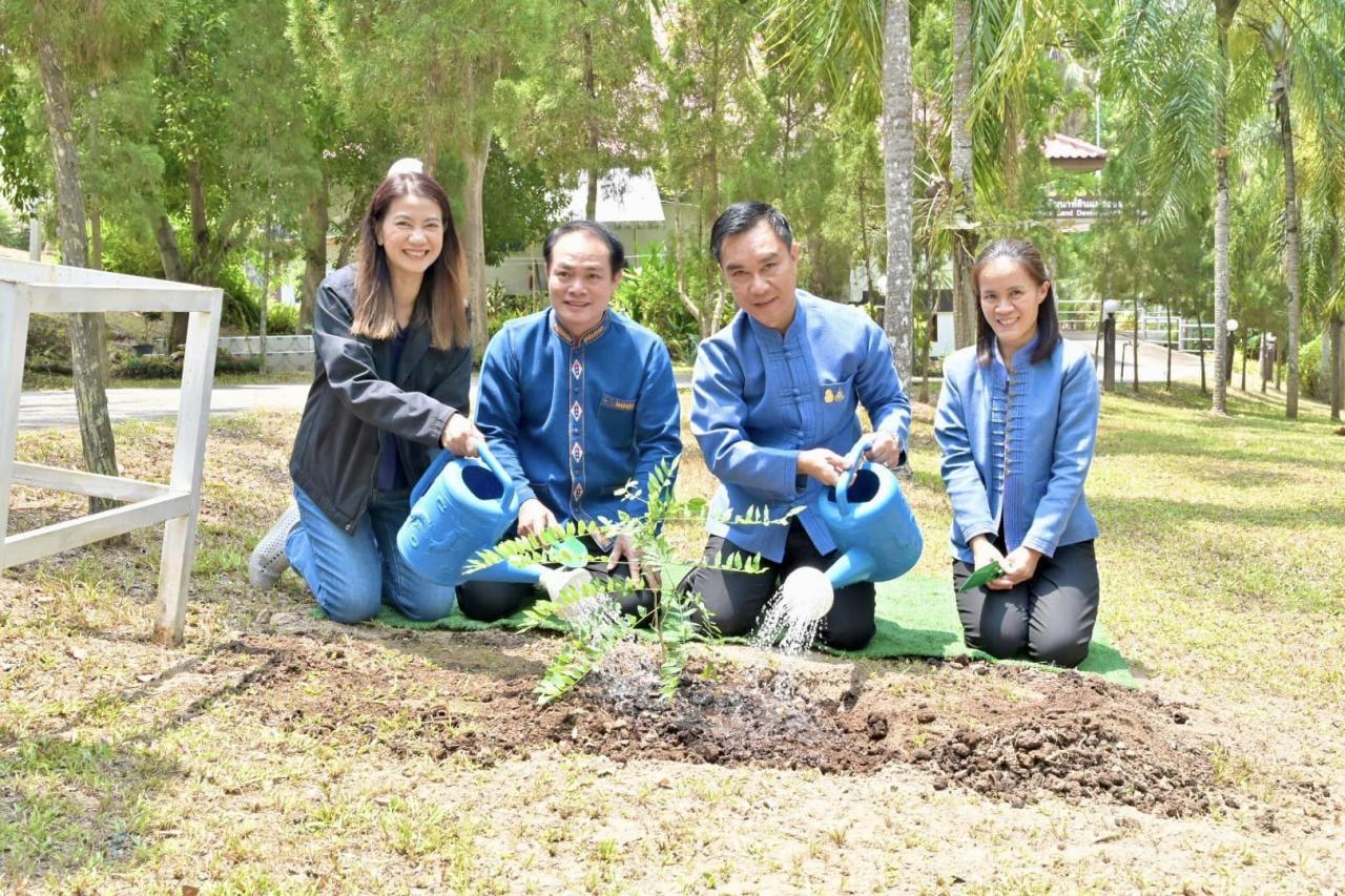 ภาพประกอบที่ 2