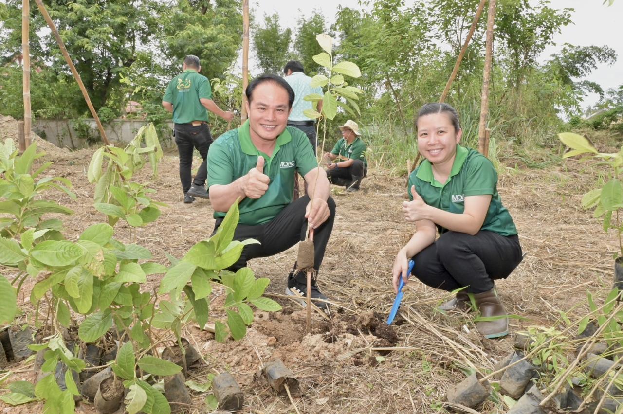 ภาพประกอบที่ 5