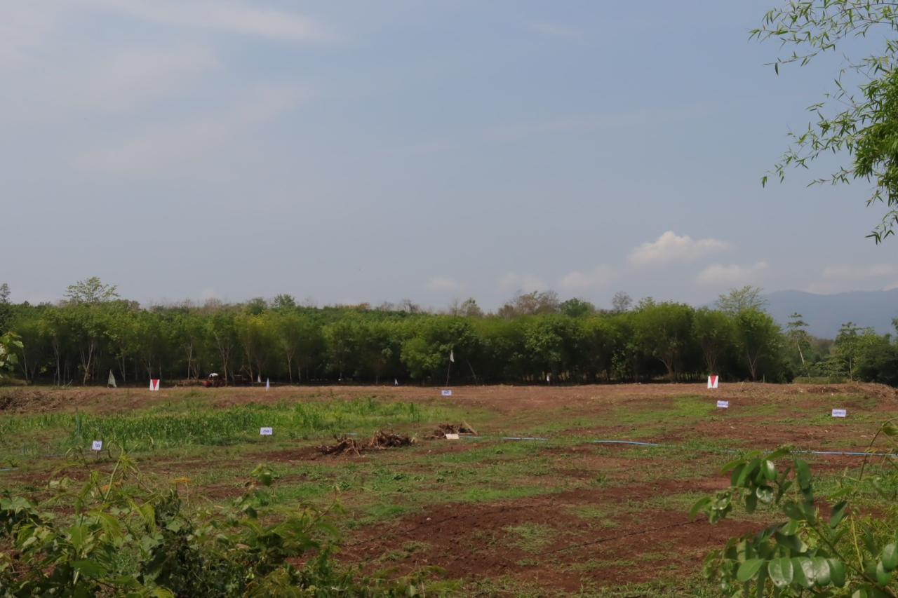 ภาพประกอบที่ 0