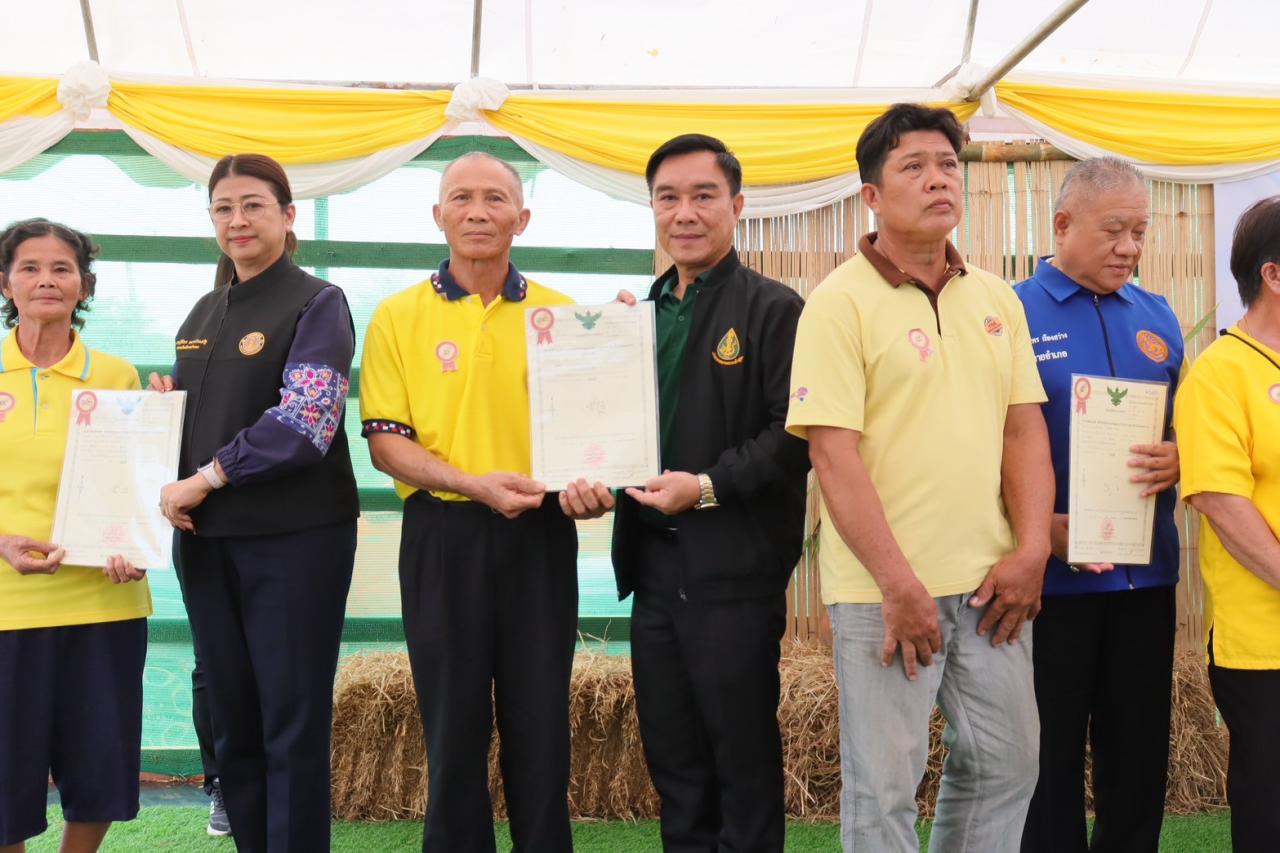 ภาพประกอบที่ 6