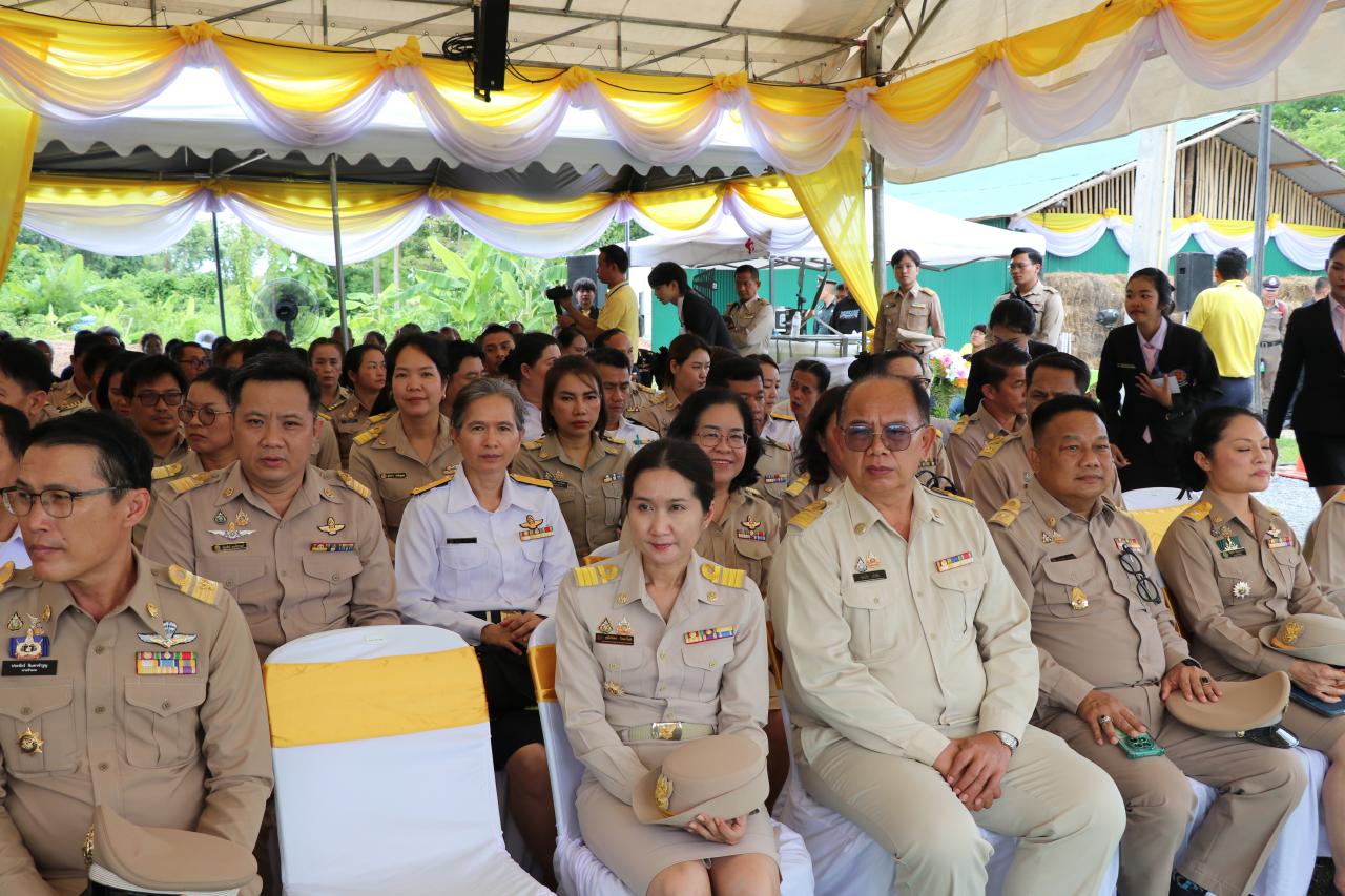 ภาพประกอบที่ 7