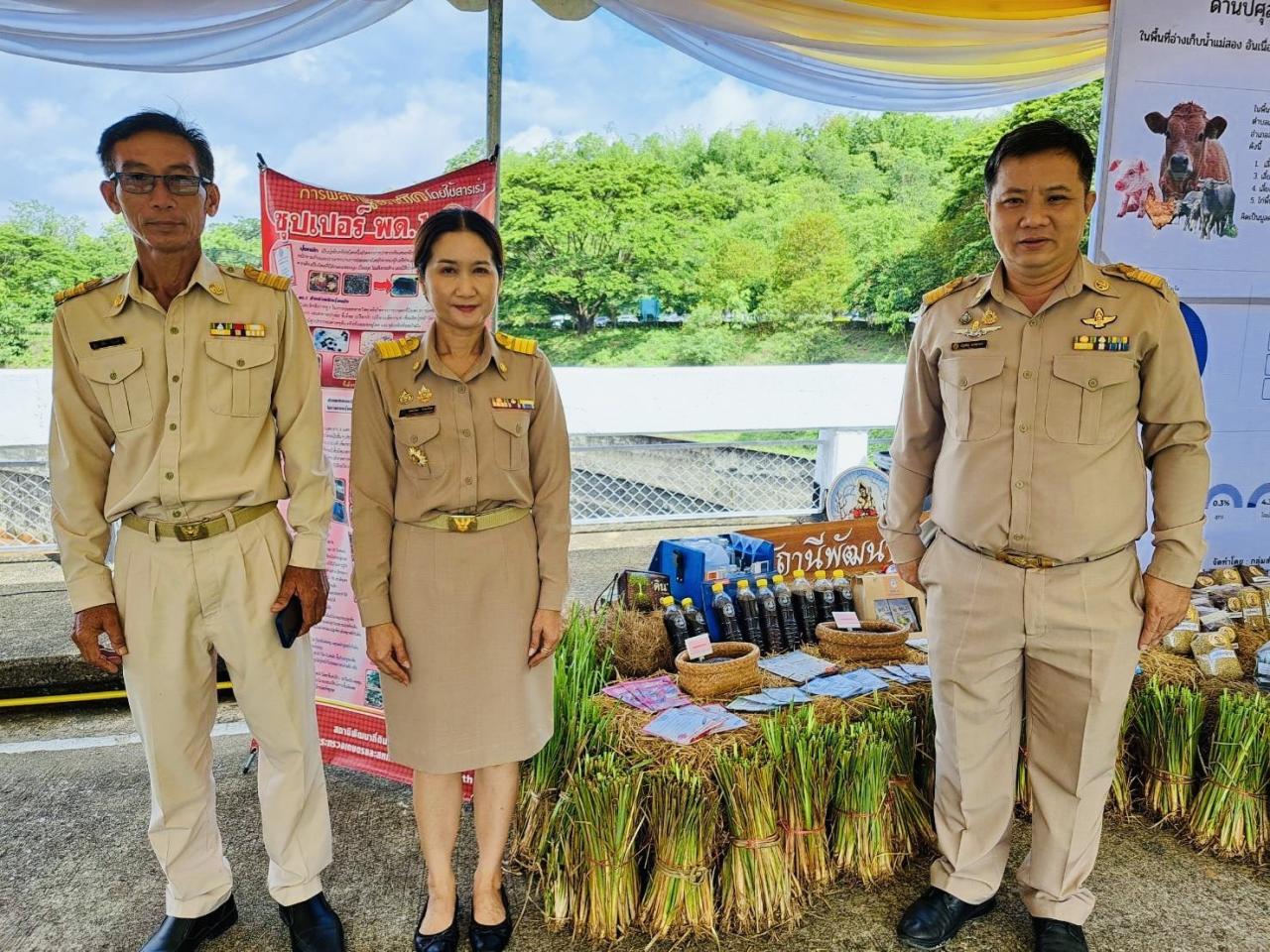 ภาพประกอบที่ 4