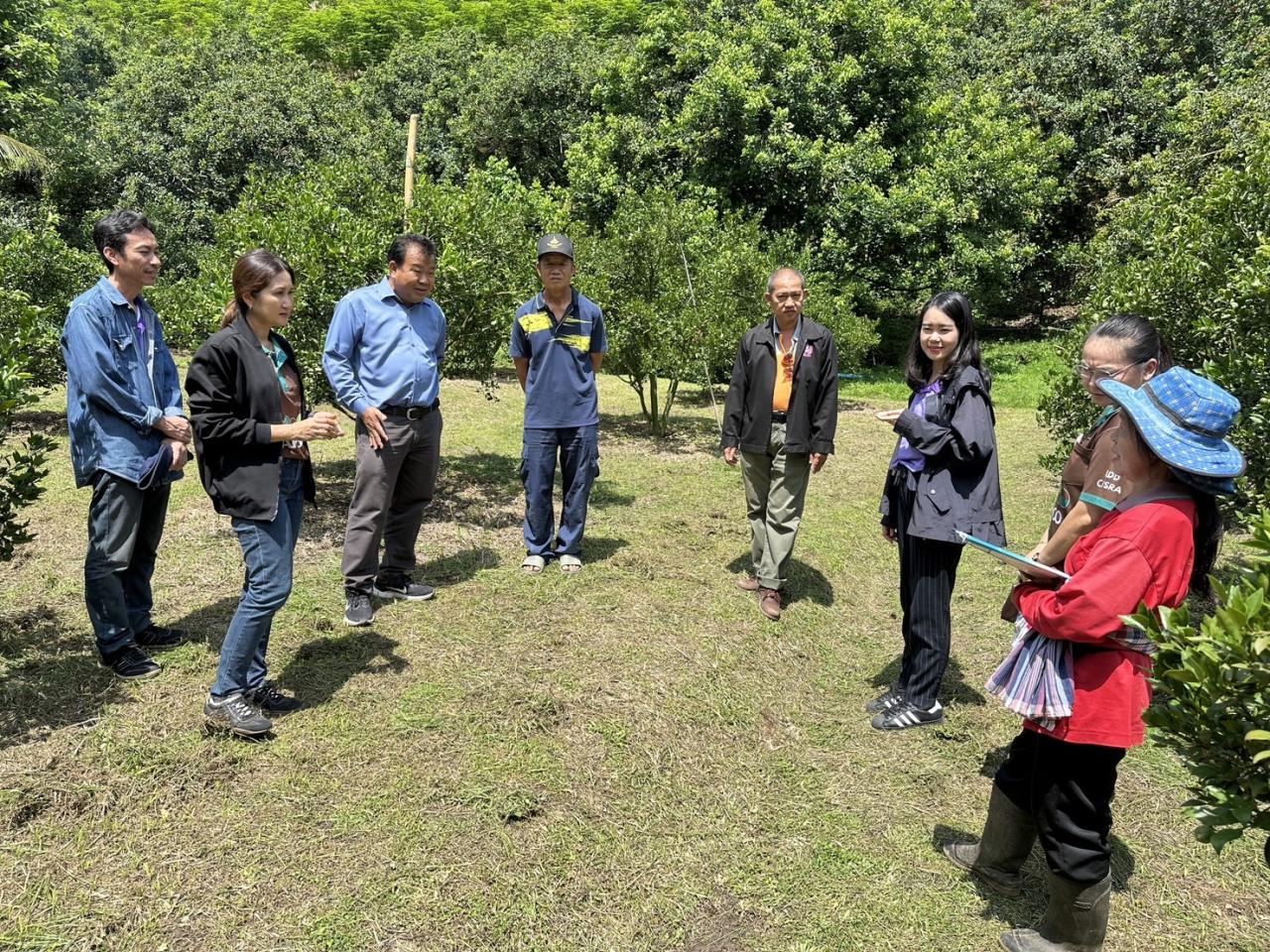 ภาพประกอบที่ 0