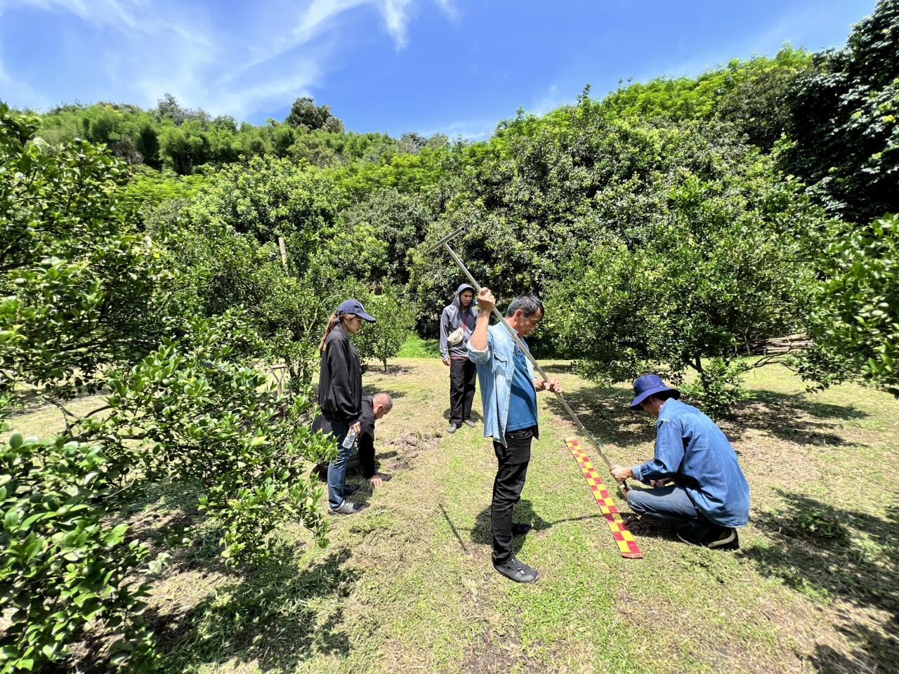 ภาพประกอบที่ 2