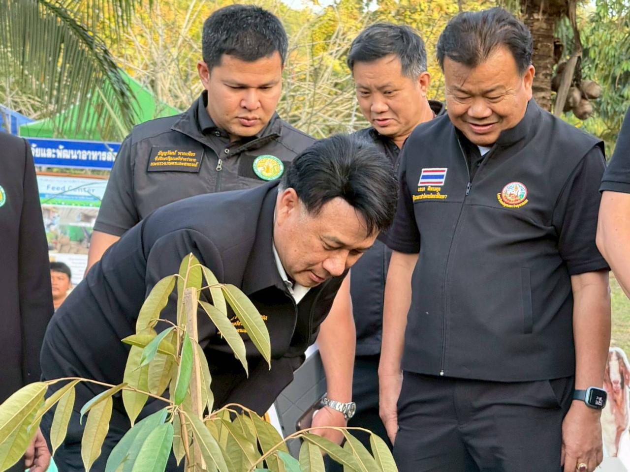 ภาพประกอบที่ 3