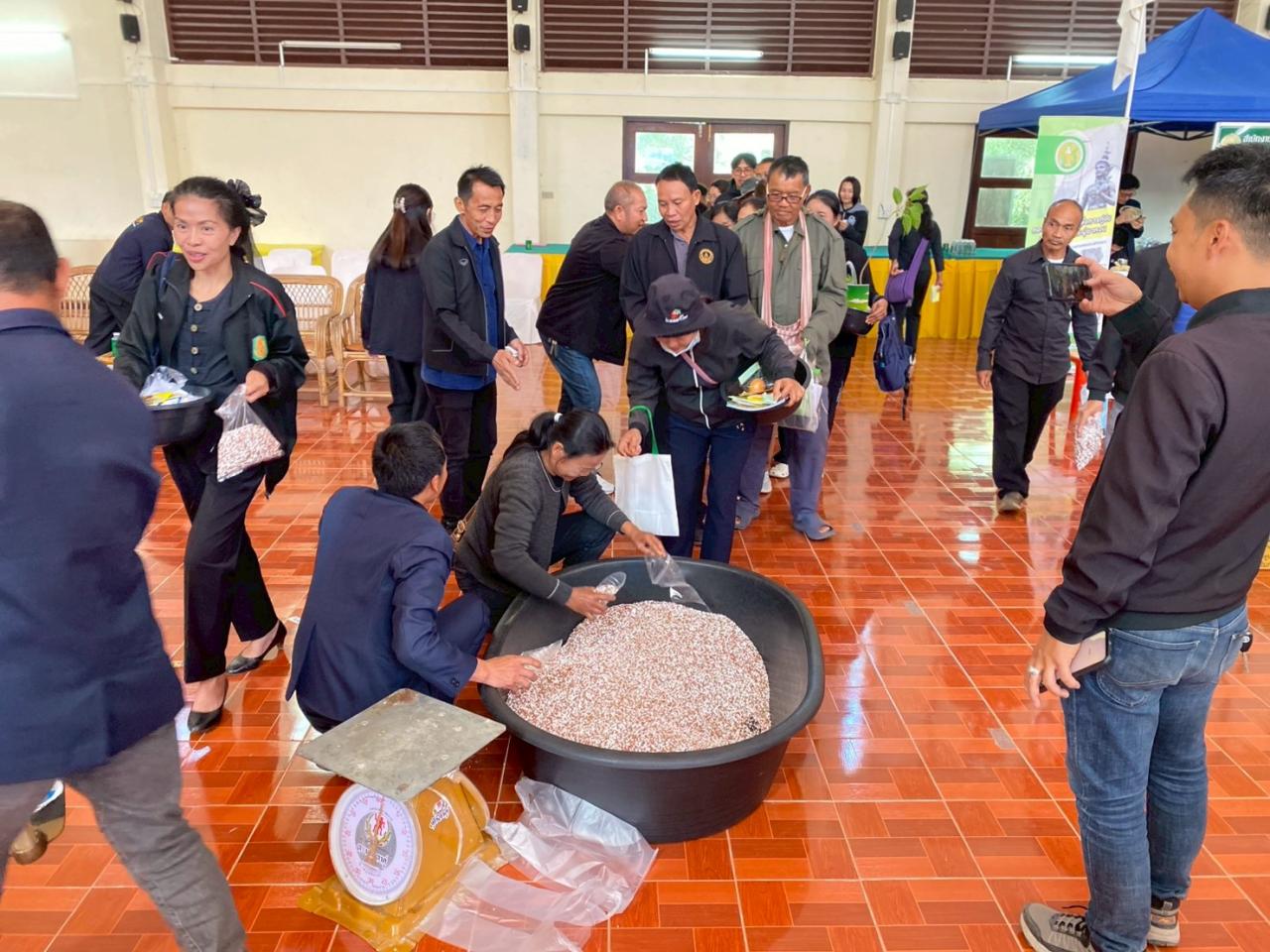 ภาพประกอบที่ 6