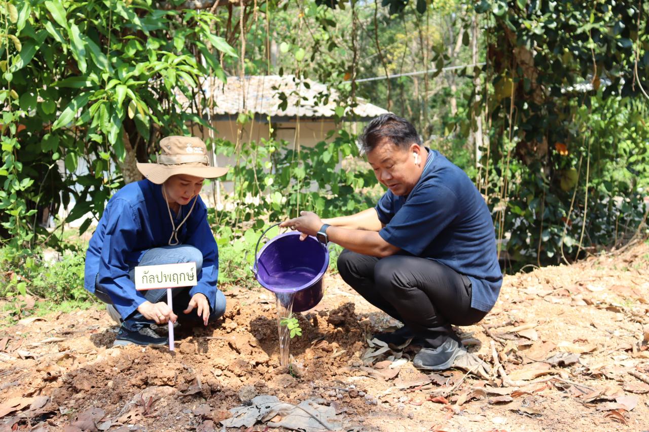 ภาพประกอบที่ 1