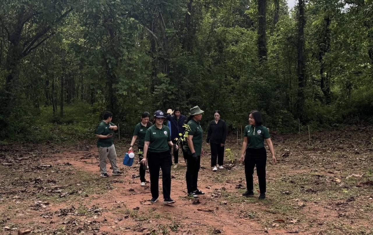 ภาพประกอบที่ 4