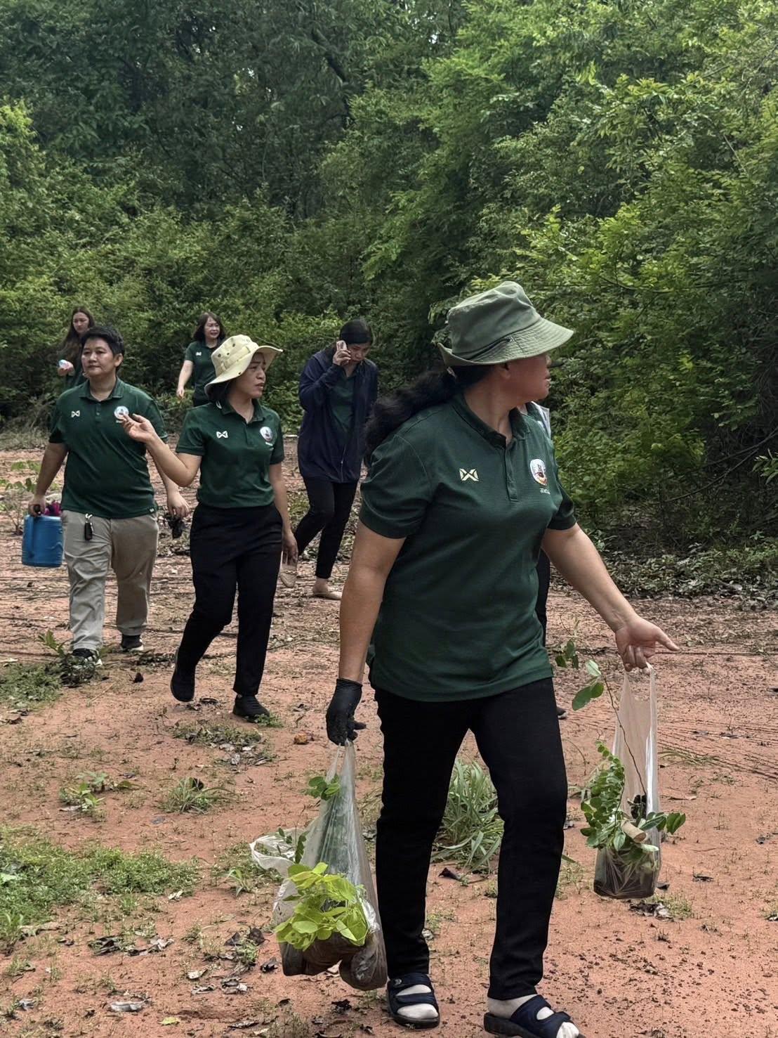 ภาพประกอบที่ 3