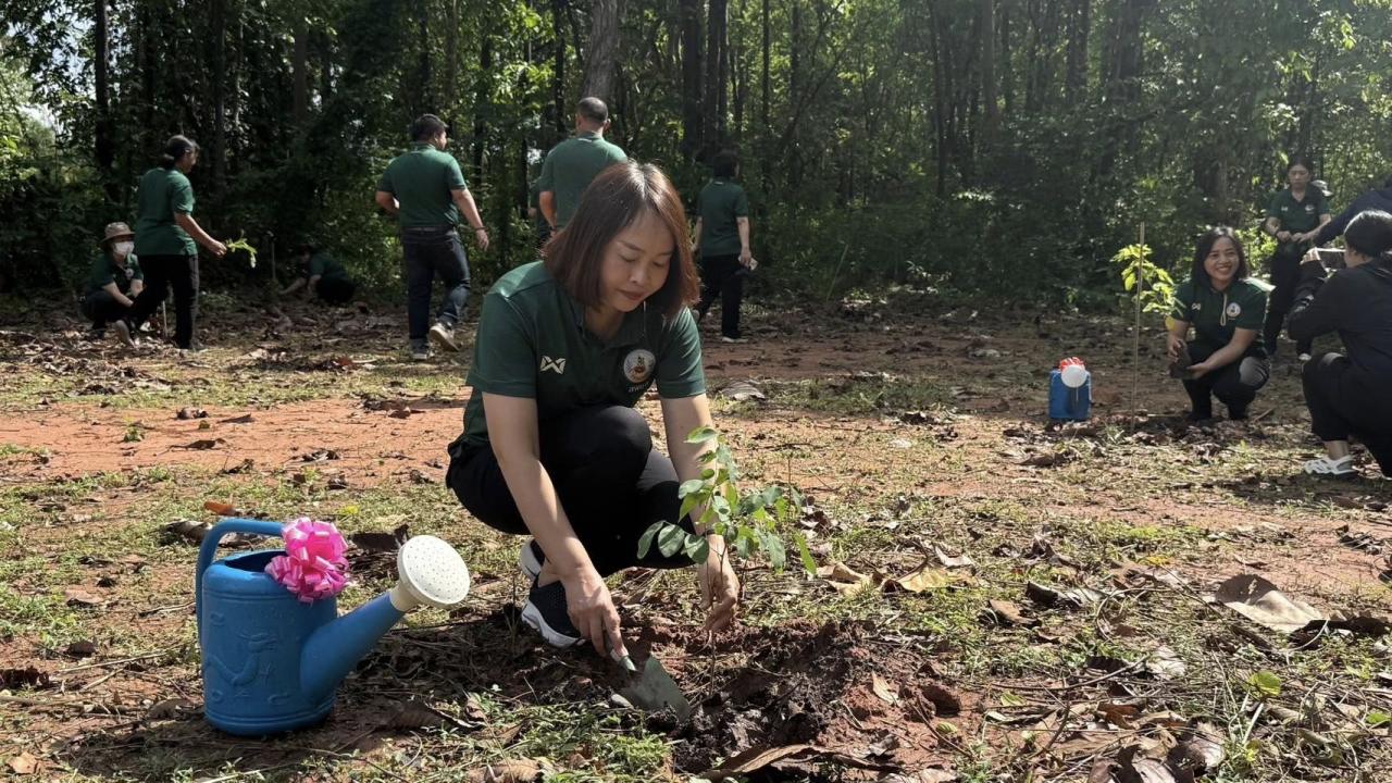 ภาพประกอบที่ 1