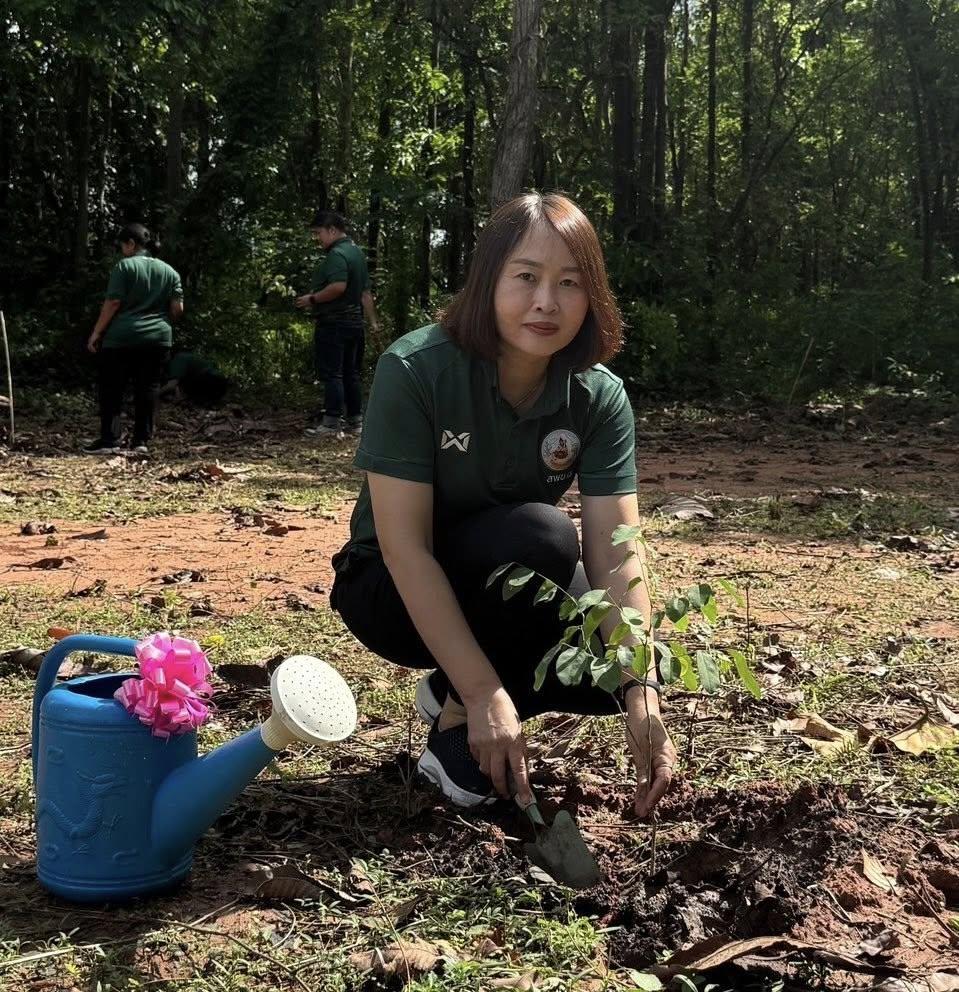 ภาพประกอบที่ 0