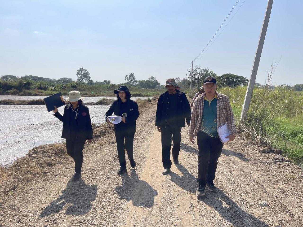 ภาพประกอบที่ 0