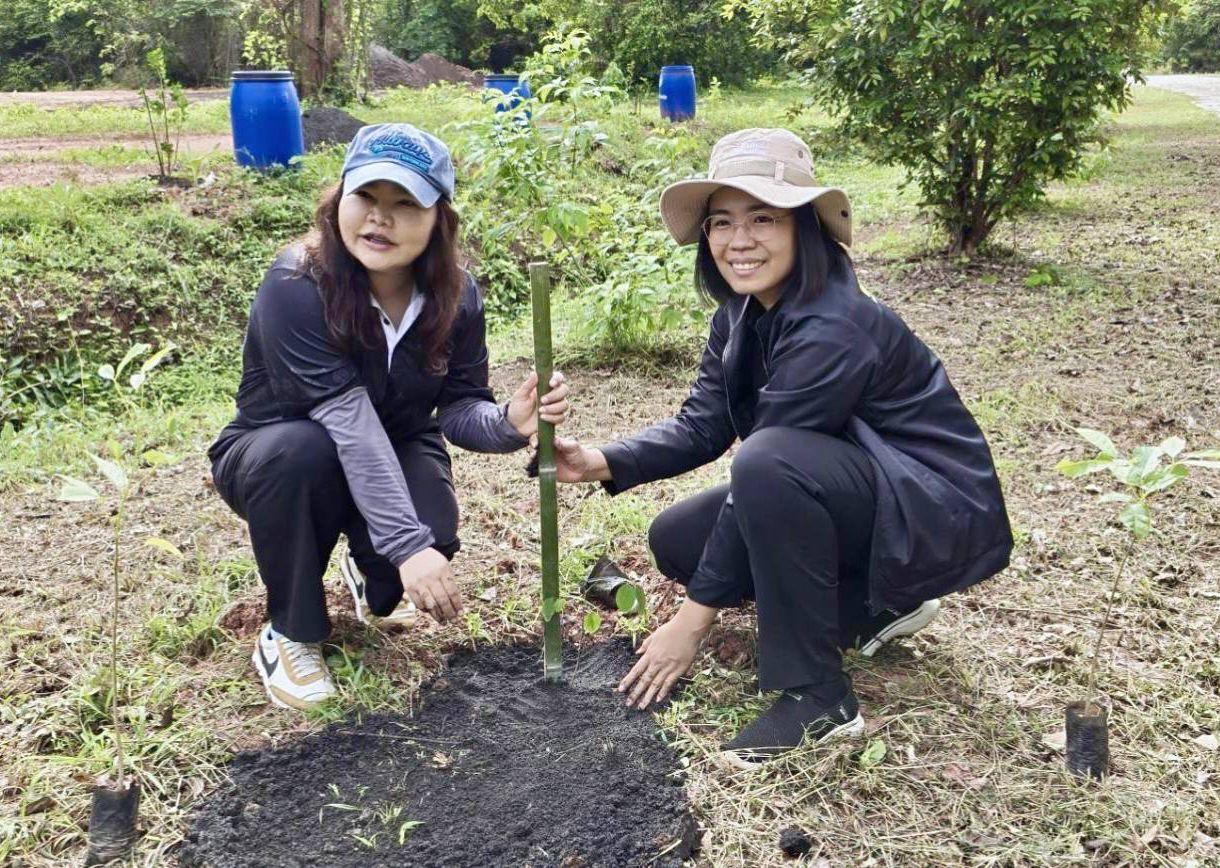 ภาพประกอบที่ 2