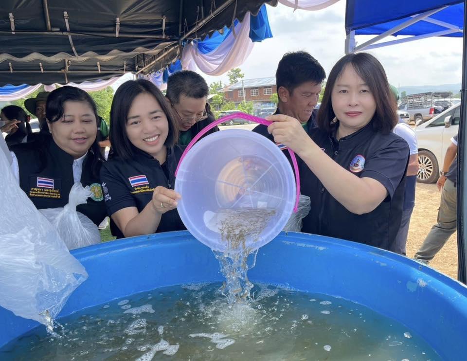 ภาพประกอบที่ 3
