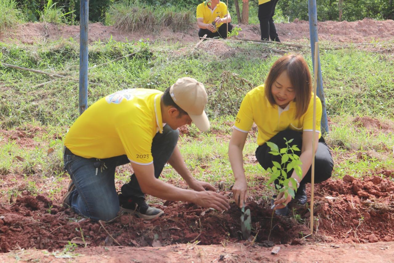 ภาพประกอบที่ 1