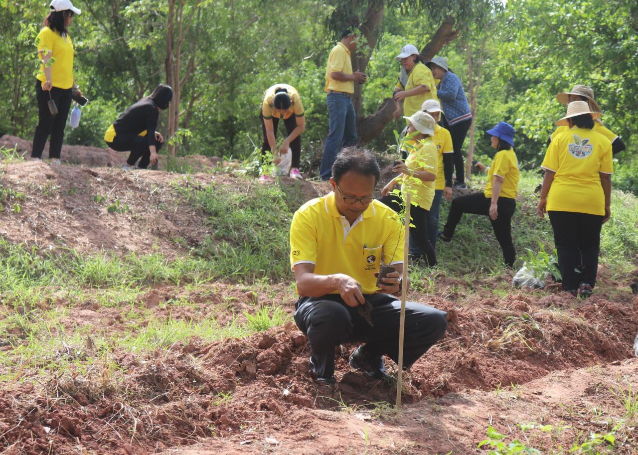 ภาพประกอบที่ 2