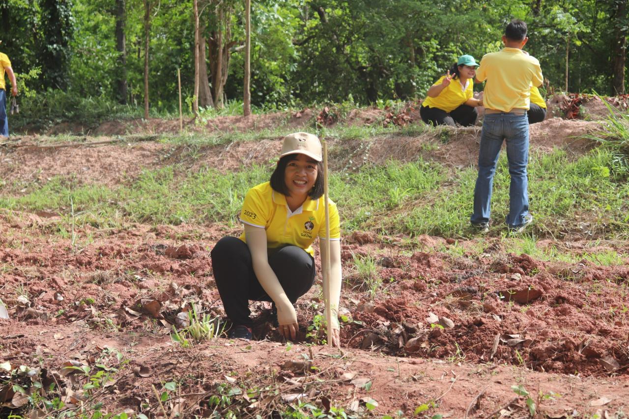 ภาพประกอบที่ 3