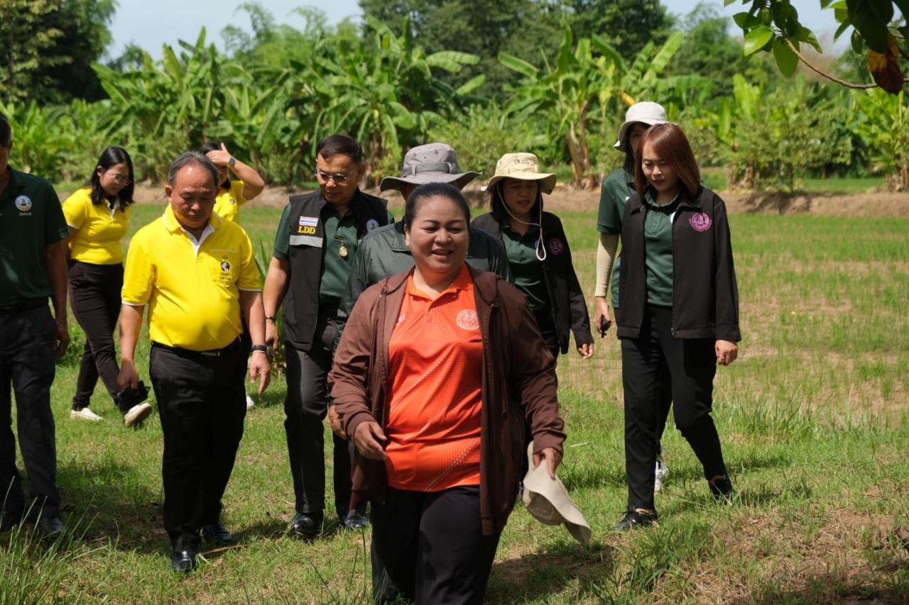 ภาพประกอบที่ 3