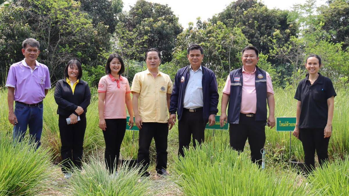 ภาพประกอบที่ 0