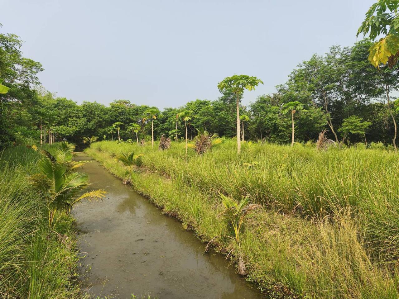 ภาพประกอบที่ 5