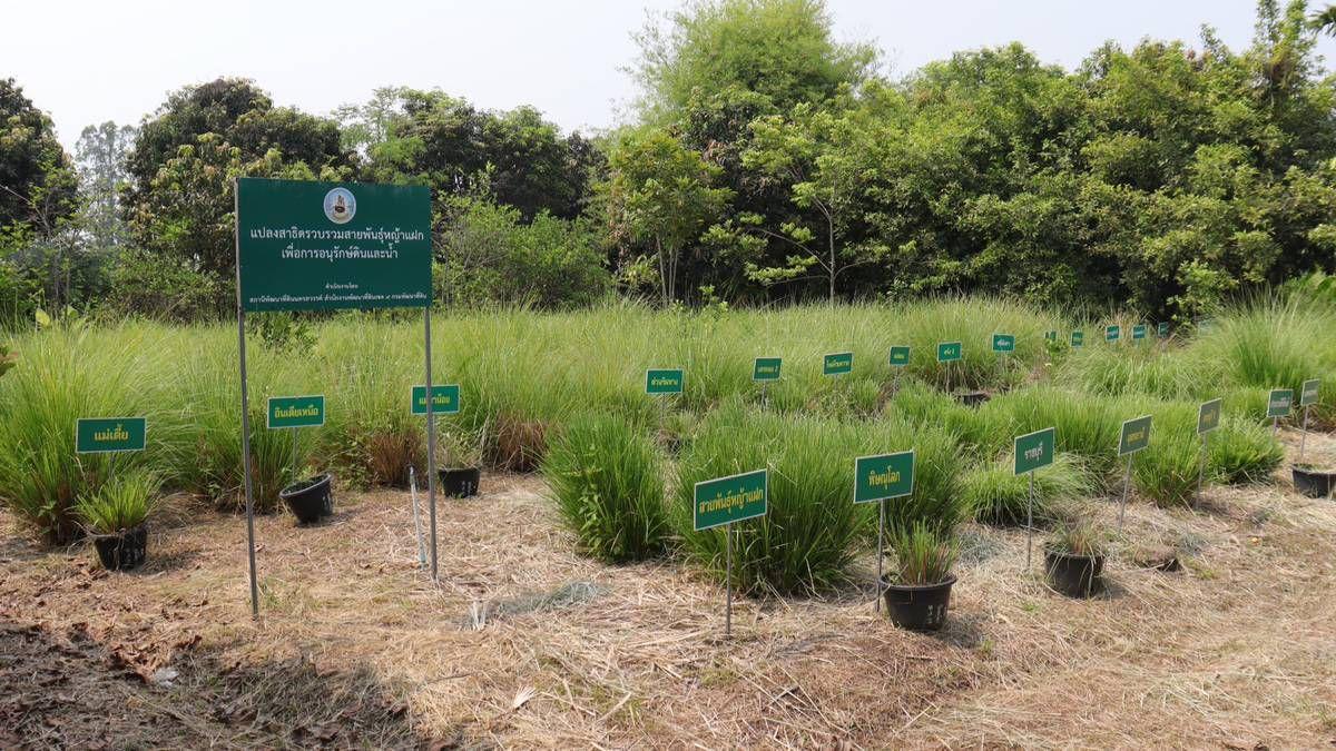 ภาพประกอบที่ 8