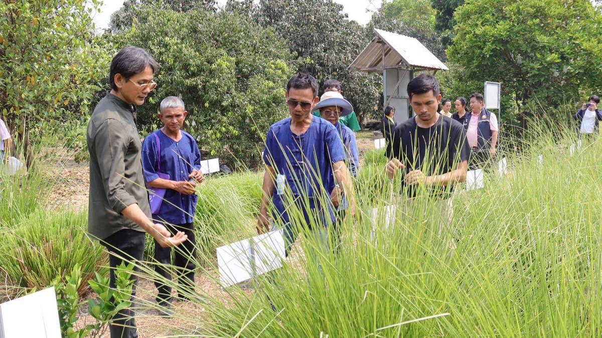 ภาพประกอบที่ 9