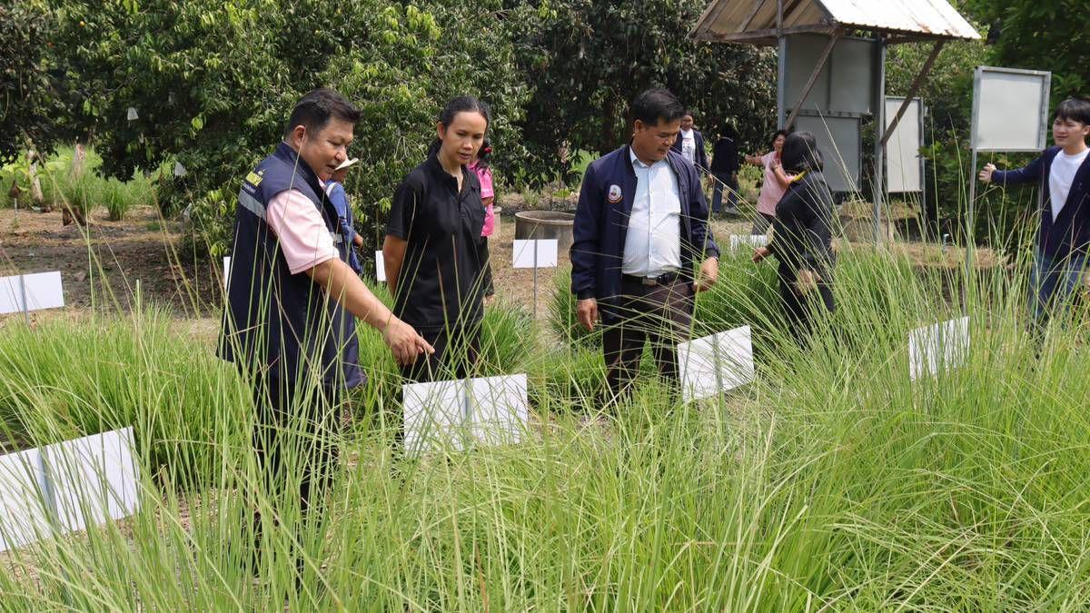 ภาพประกอบที่ 10