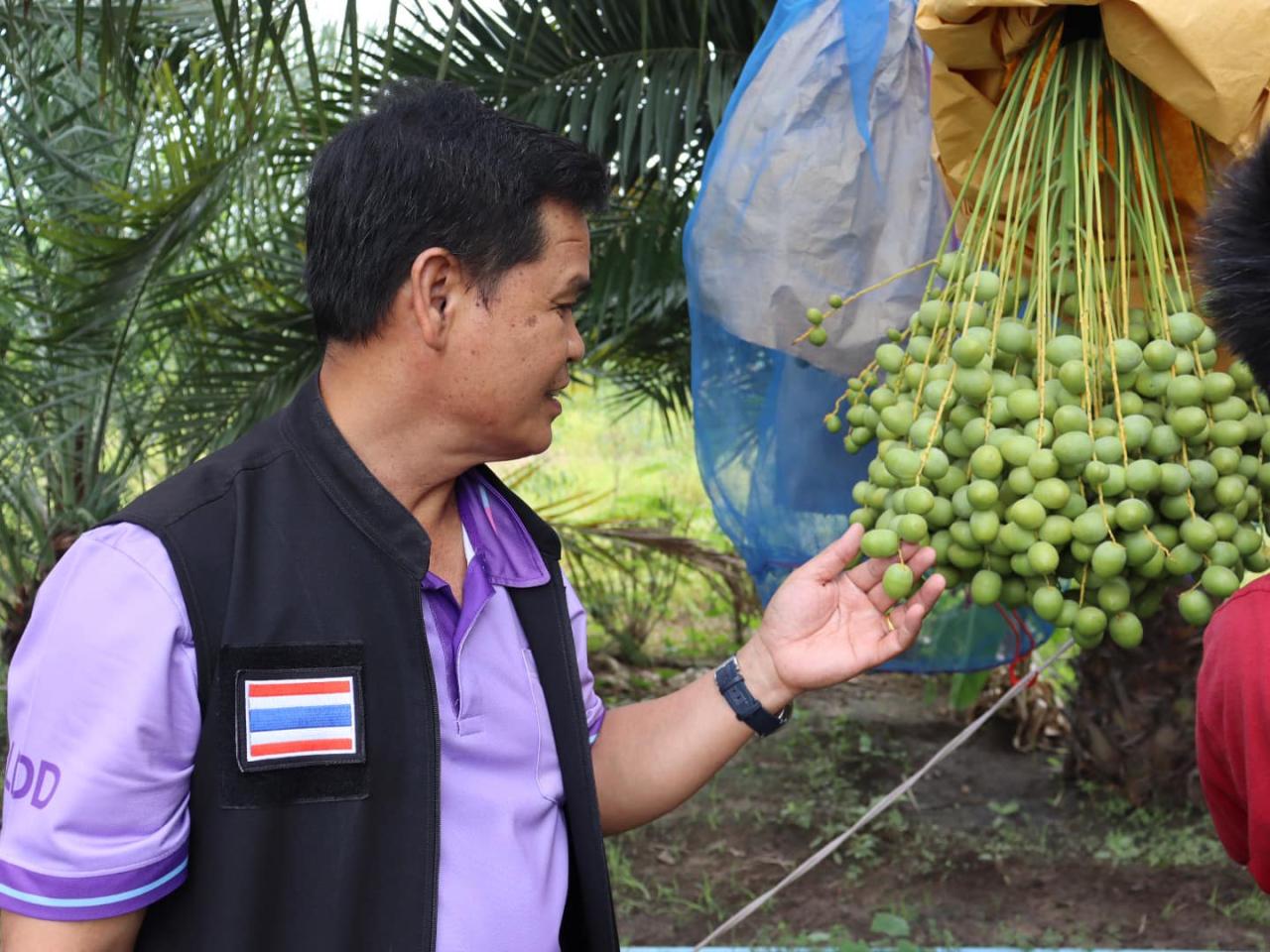 ภาพประกอบที่ 2