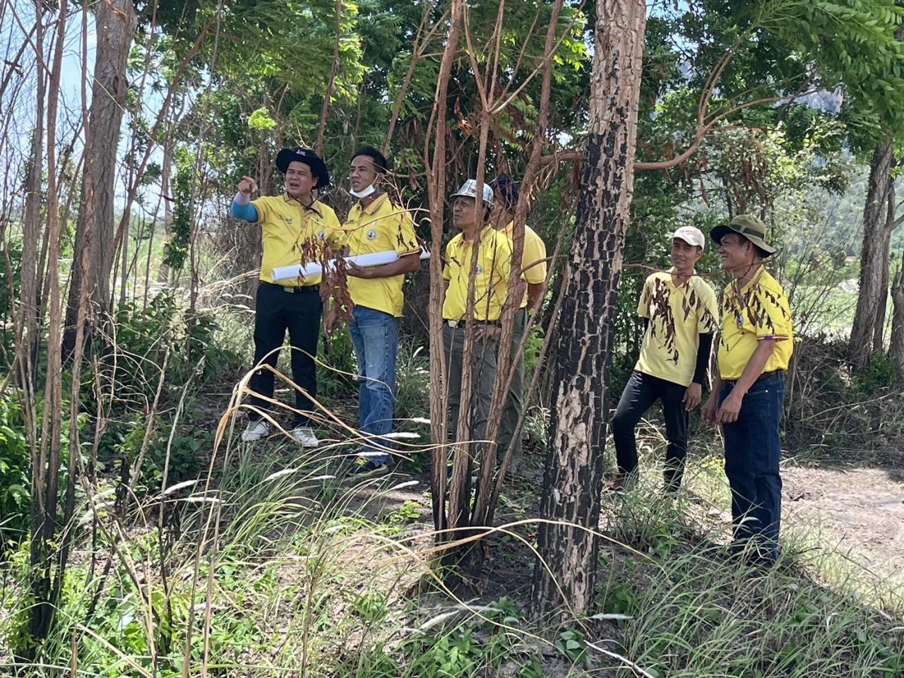 ภาพประกอบที่ 4