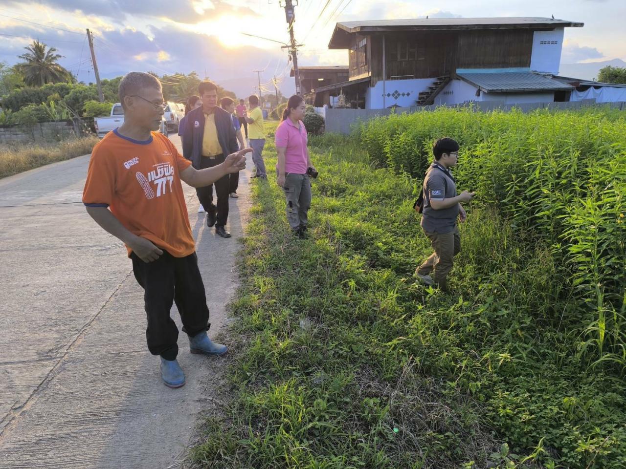 ภาพประกอบที่ 0