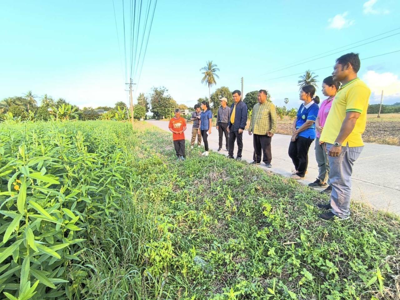 ภาพประกอบที่ 1