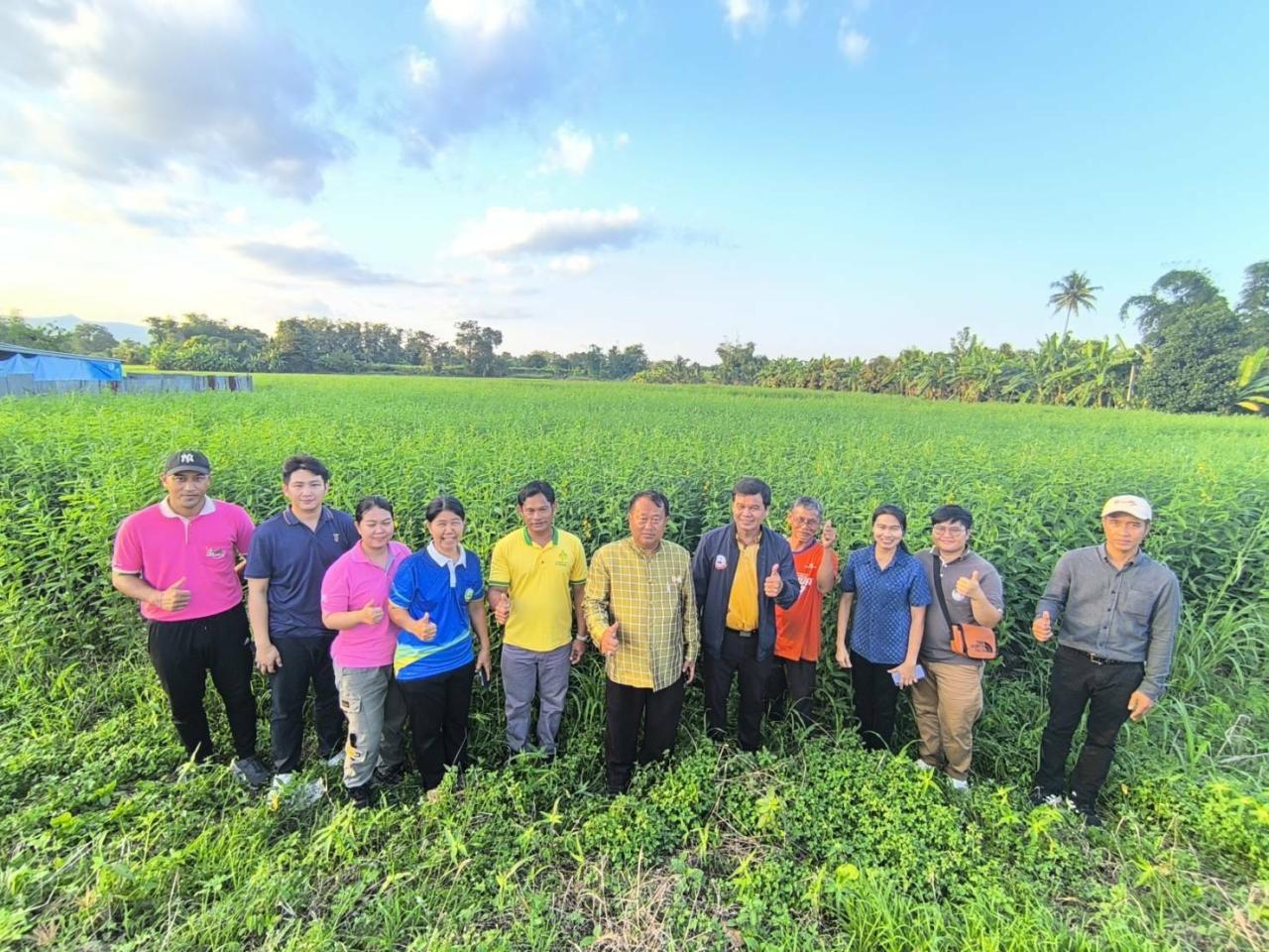 ภาพประกอบที่ 4