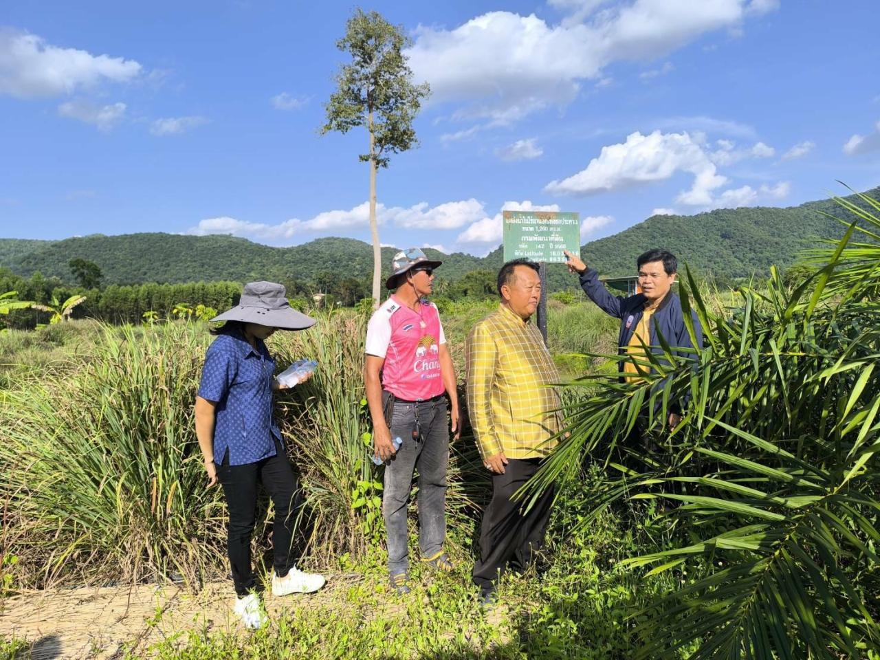 ภาพประกอบที่ 5