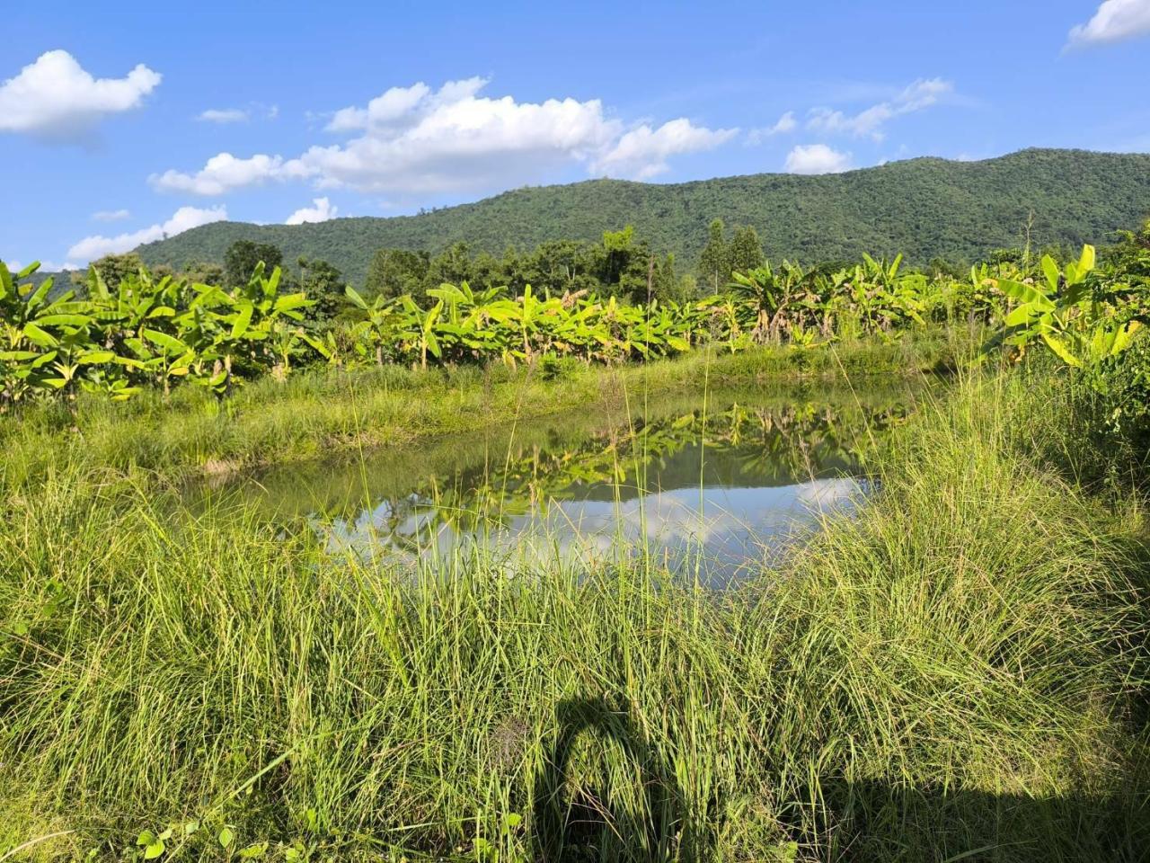 ภาพประกอบที่ 6