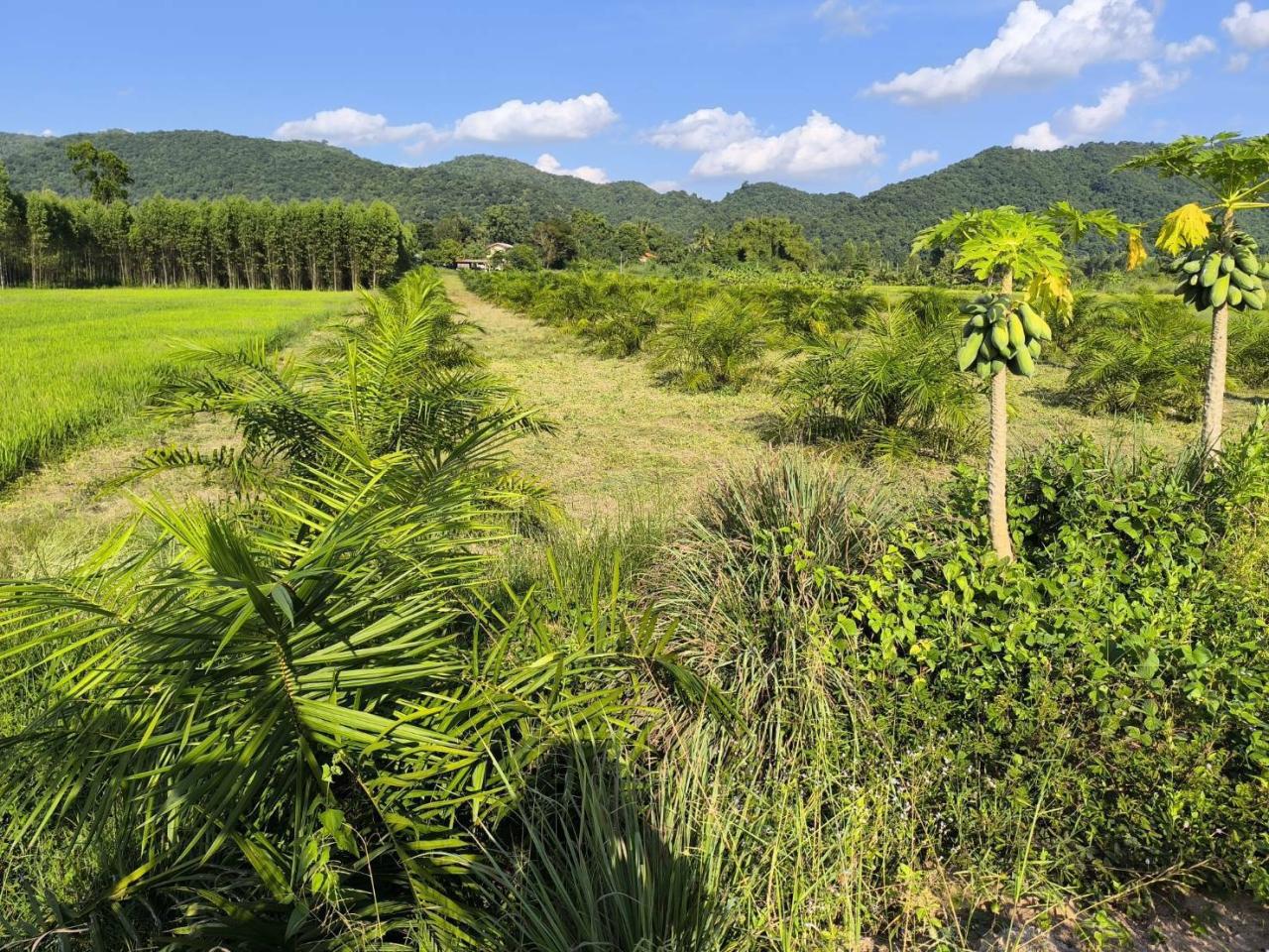 ภาพประกอบที่ 7