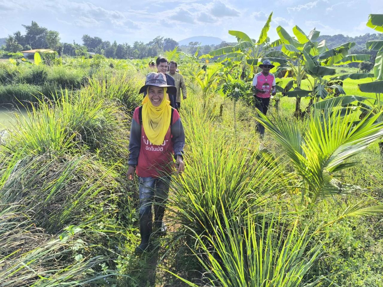 ภาพประกอบที่ 8