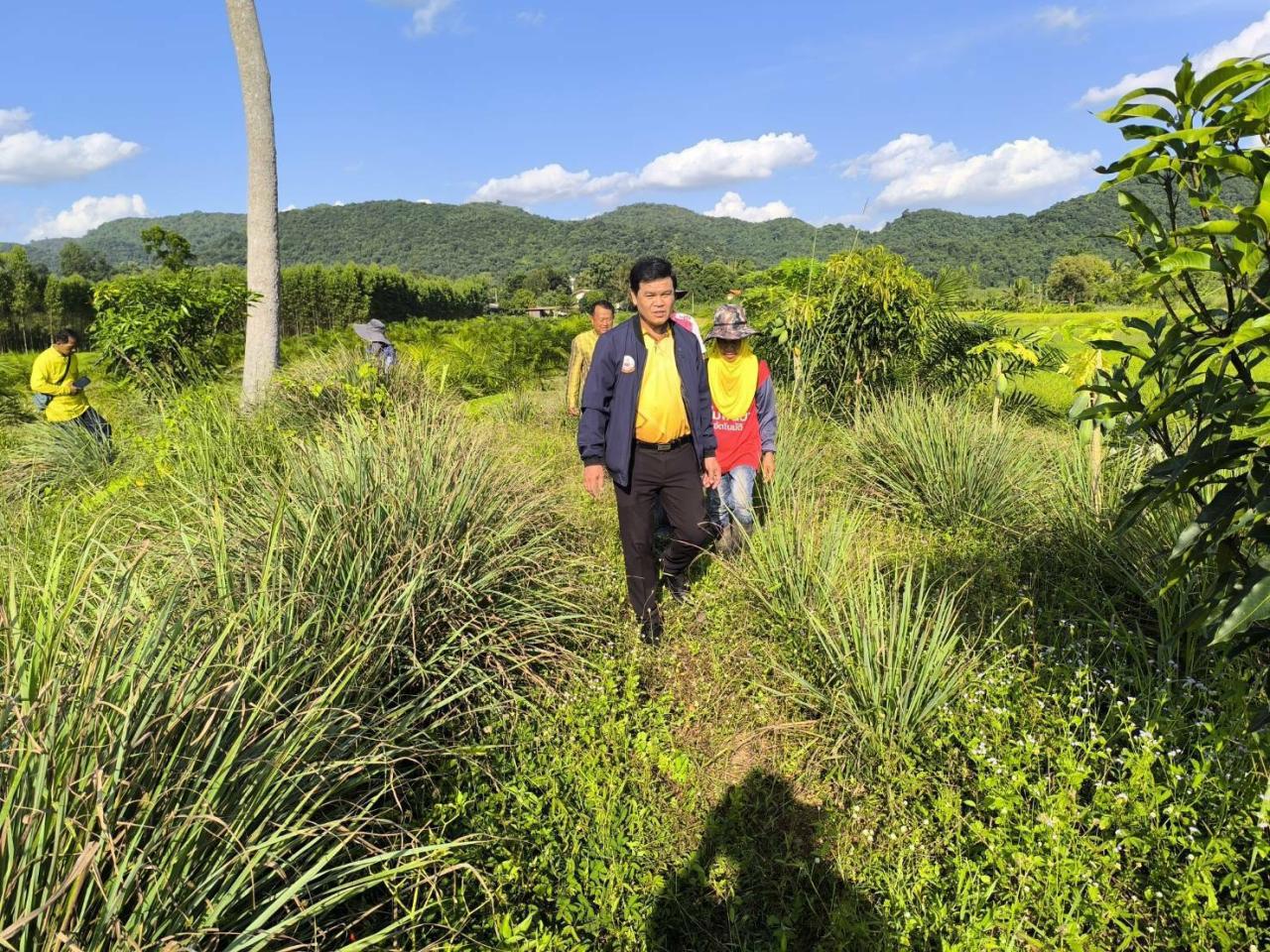 ภาพประกอบที่ 9