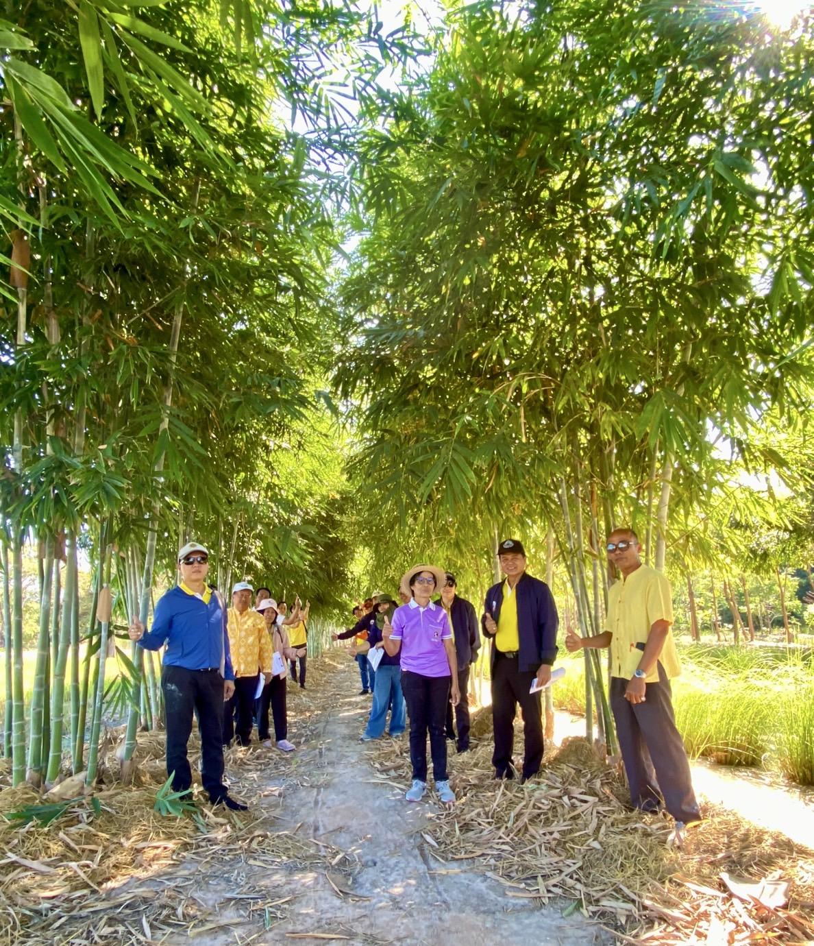 ภาพประกอบที่ 3