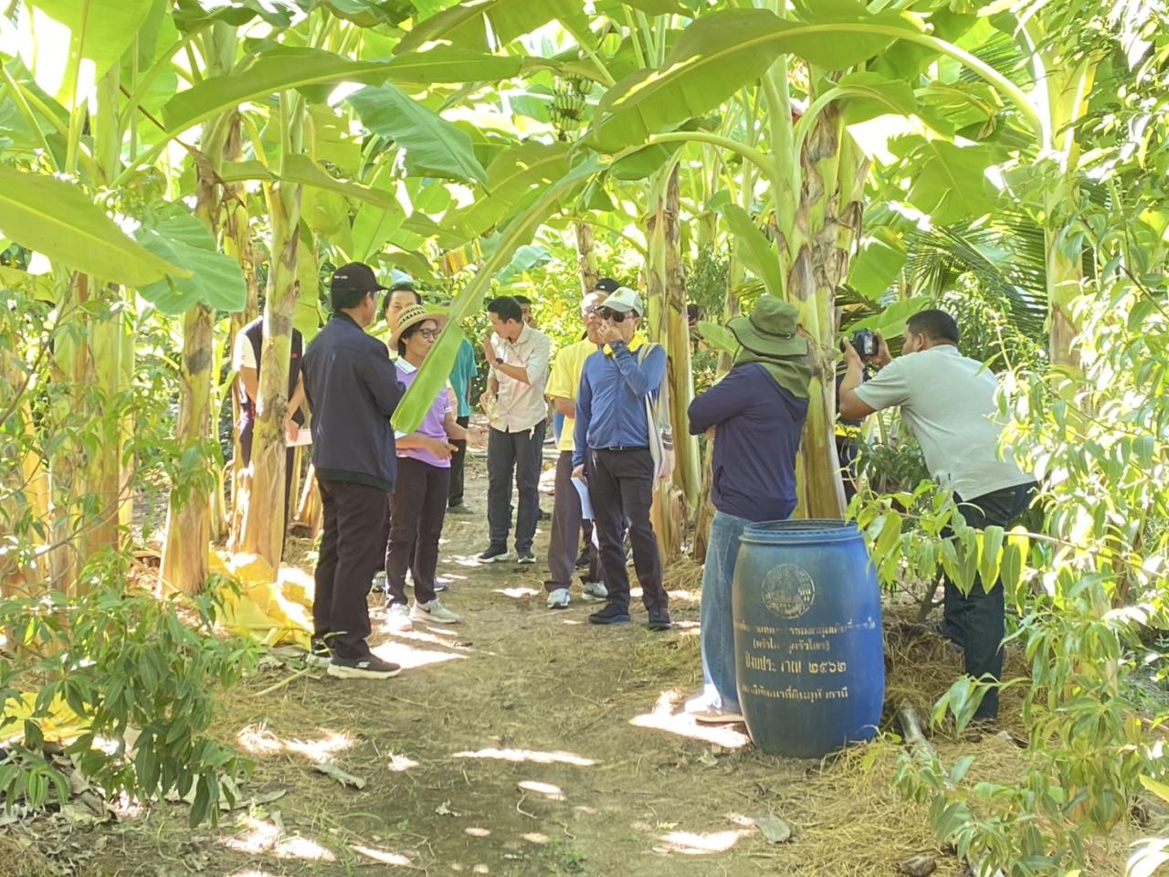 ภาพประกอบที่ 6